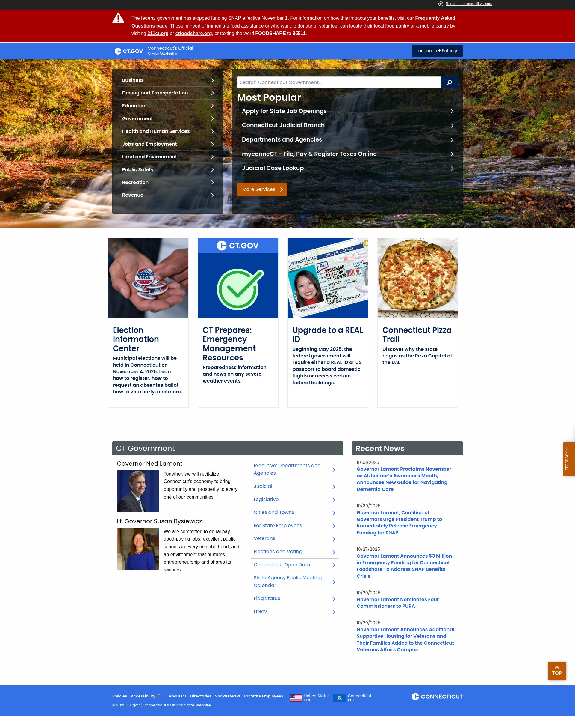 Screenshot of portal.ct.gov