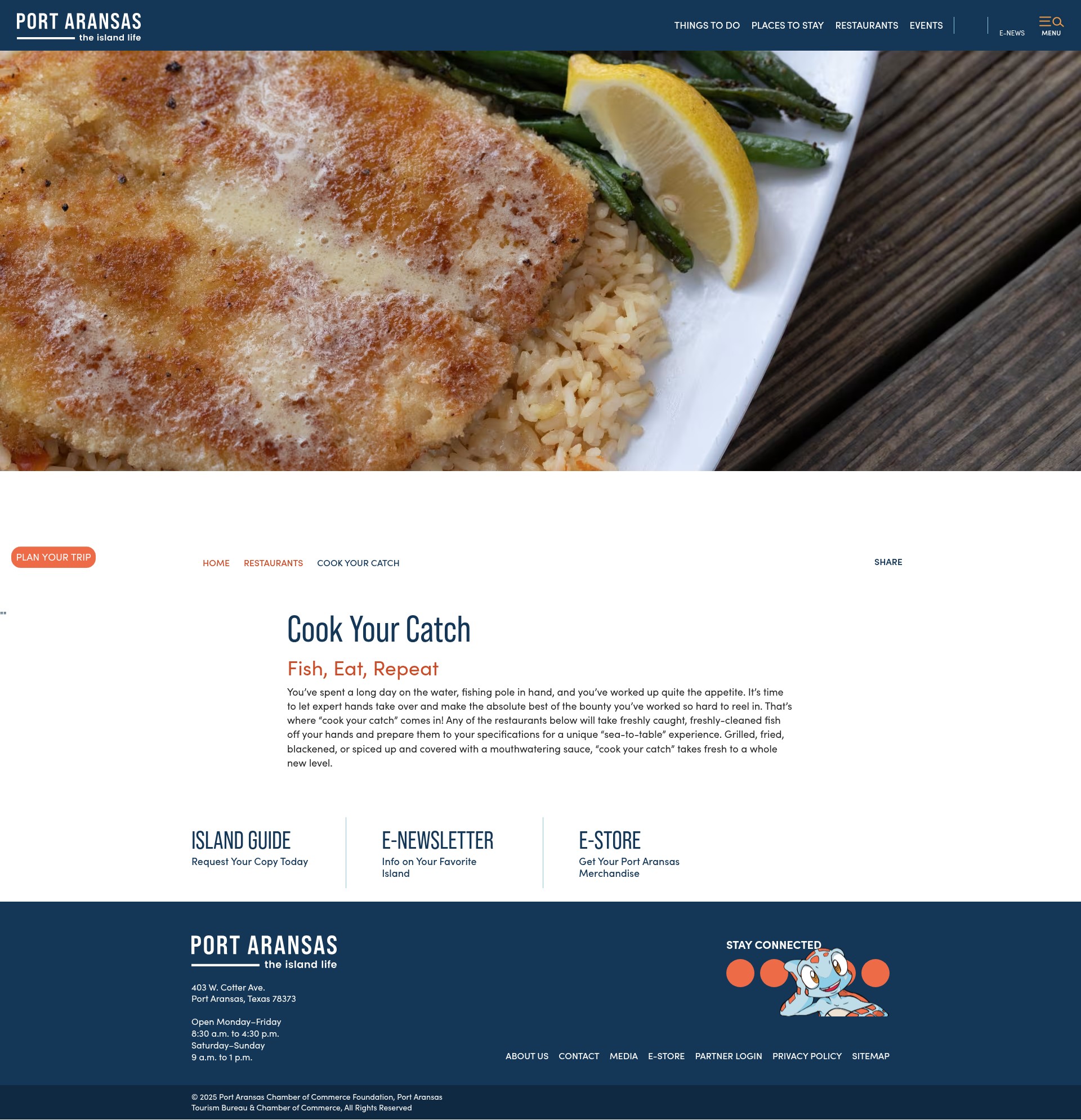 Screenshot of portaransas.org