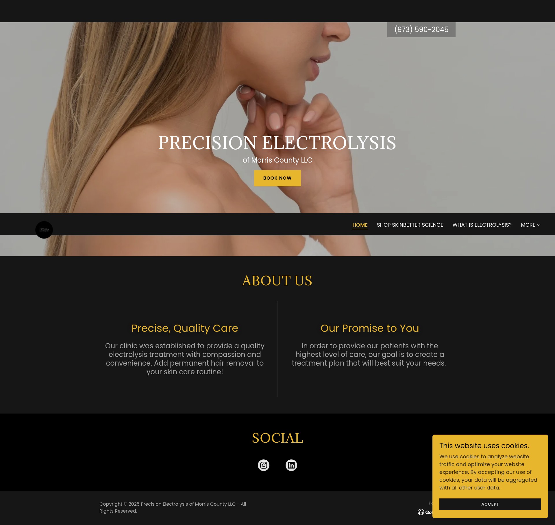 Screenshot of precisionelectrolysis.net