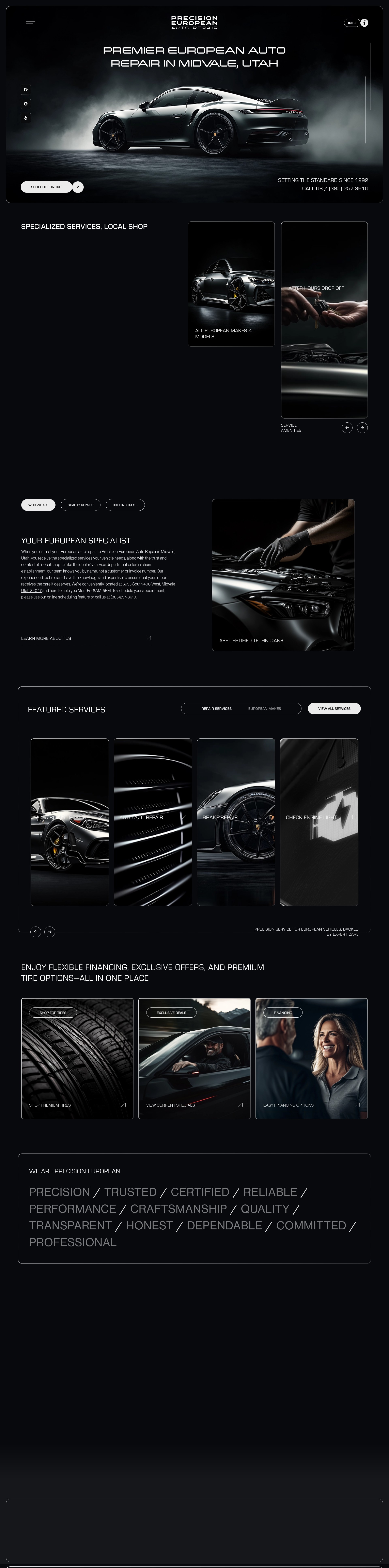 Screenshot of precisioneuropean.com