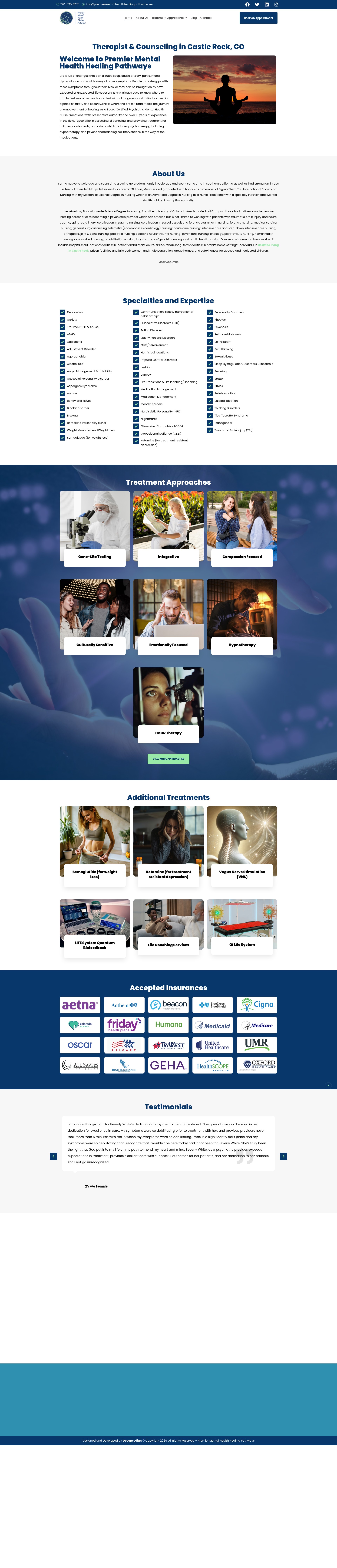 Screenshot of premiermentalhealthhealingpathways.net