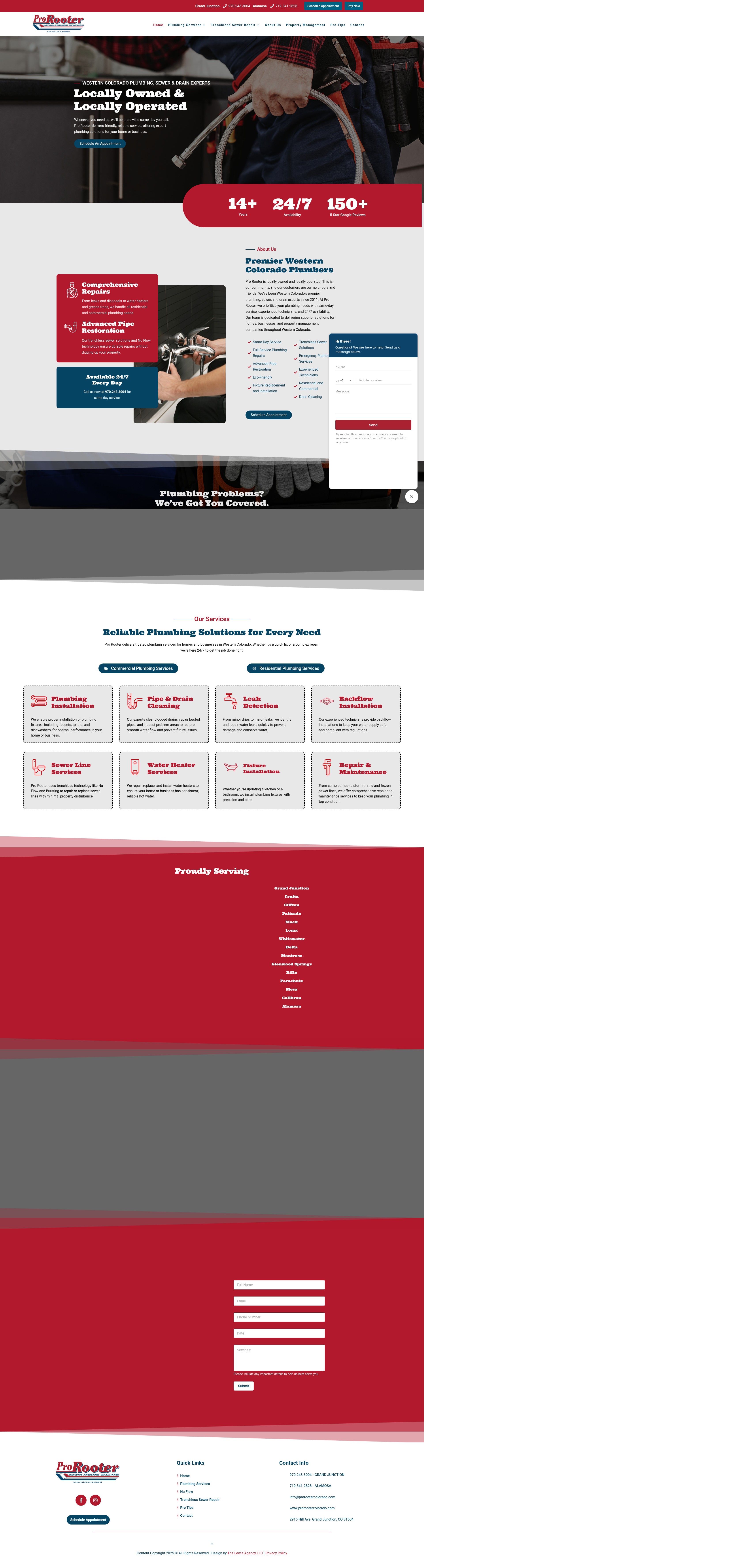 Screenshot of prorootercolorado.com