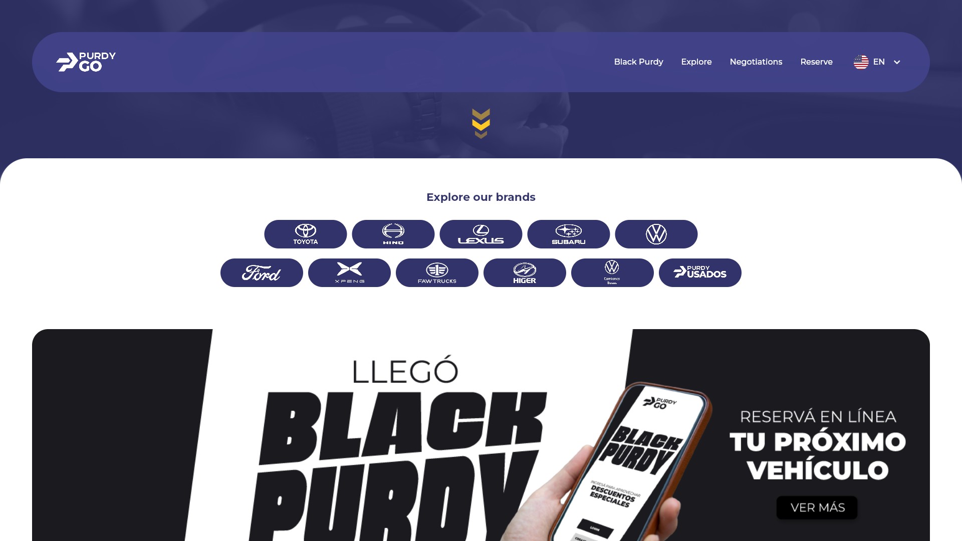 Screenshot of purdygo.com