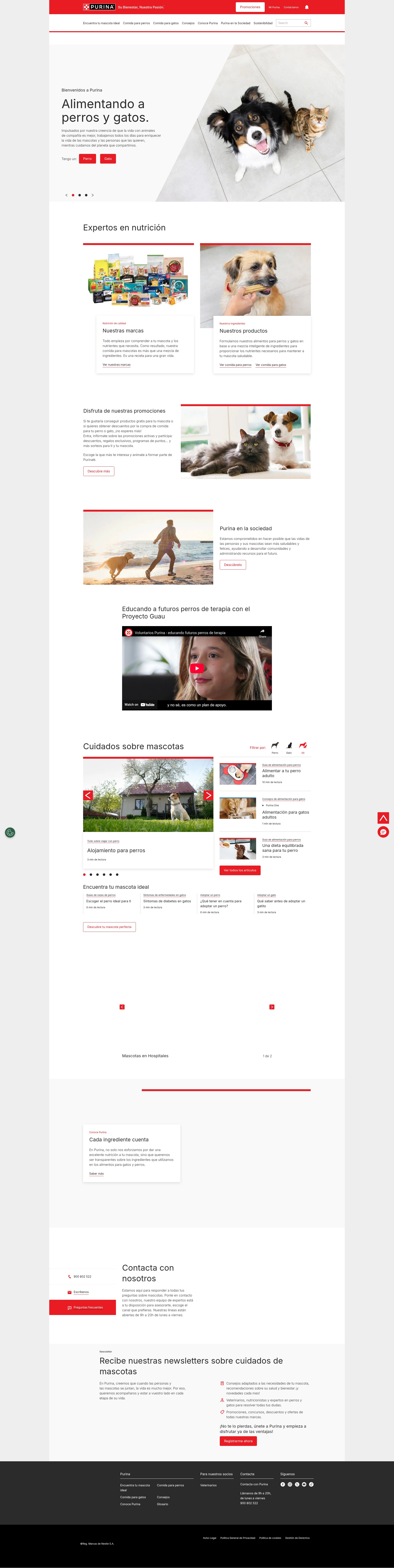 Screenshot of purina.es