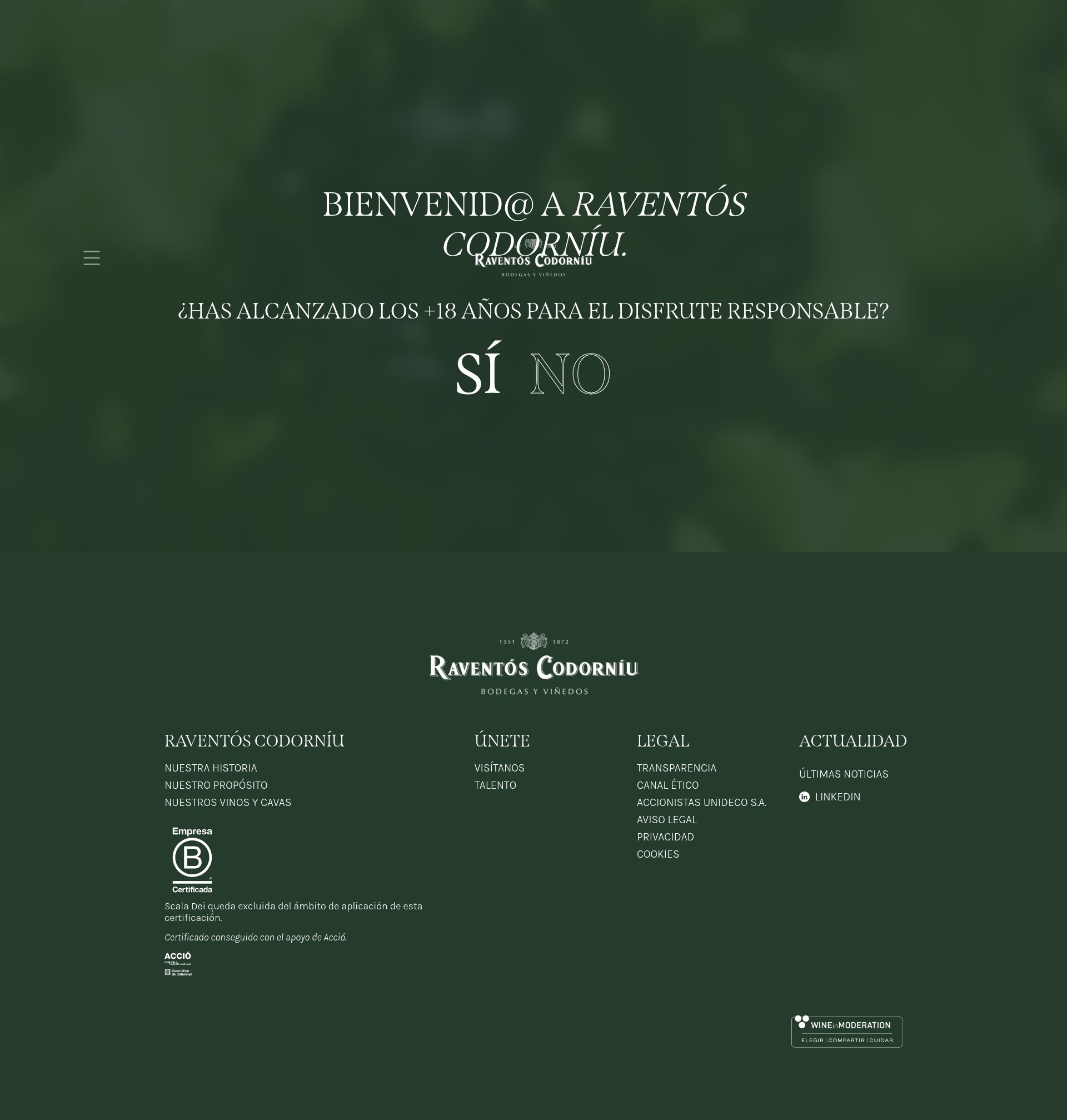 Screenshot of raventoscodorniu.com