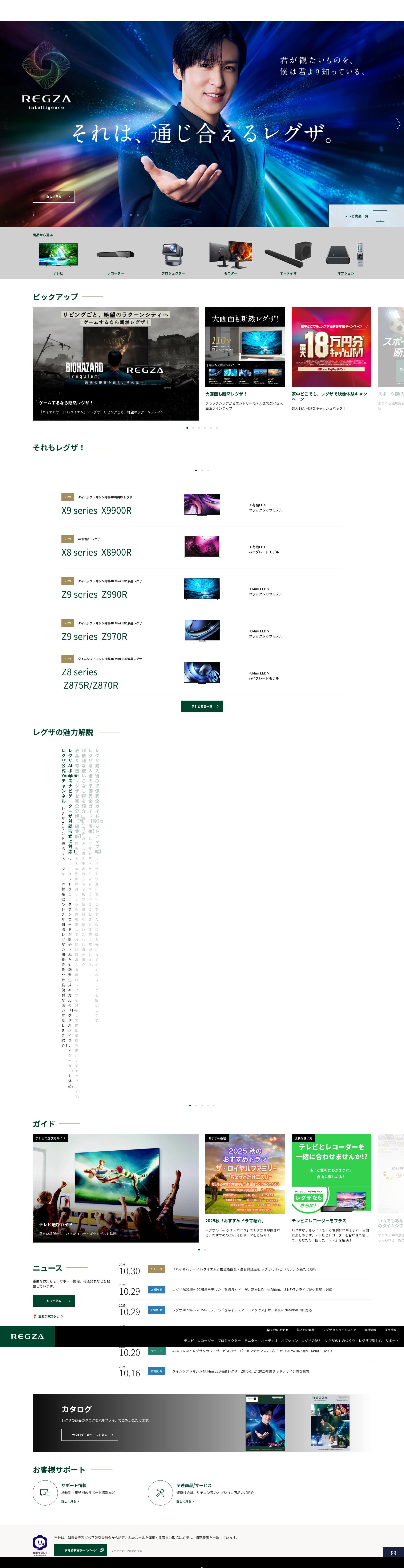 Screenshot of regza.com