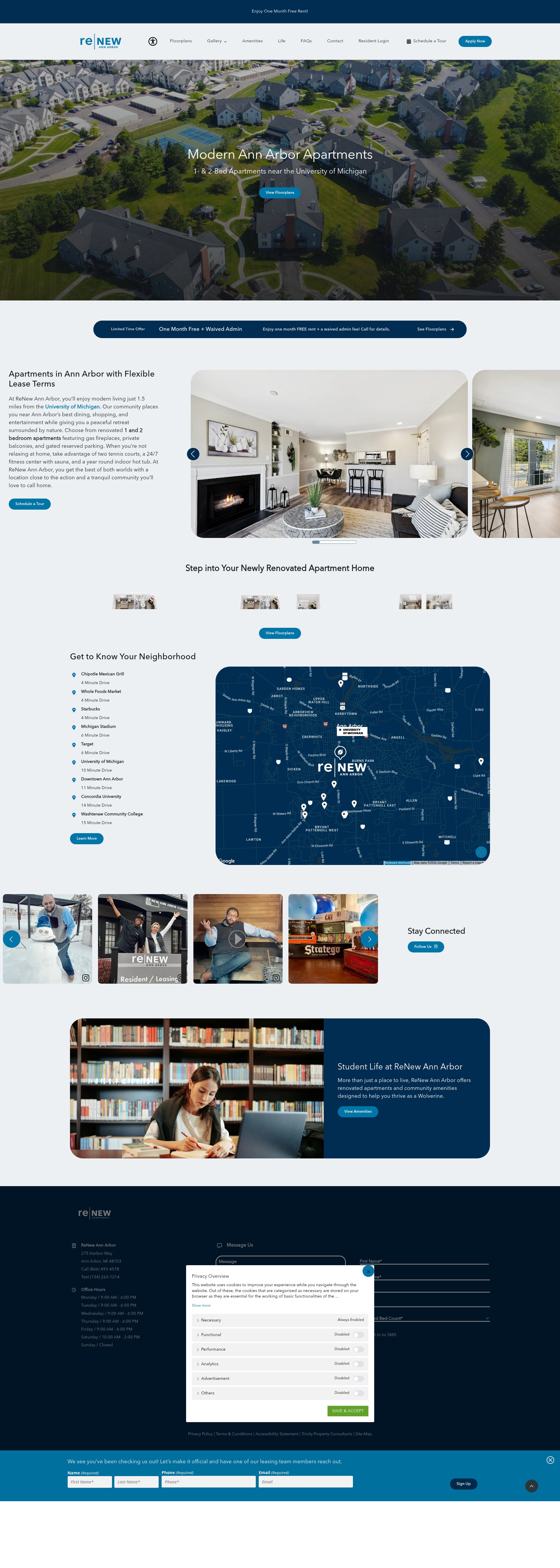 Screenshot of renewannarbor.com