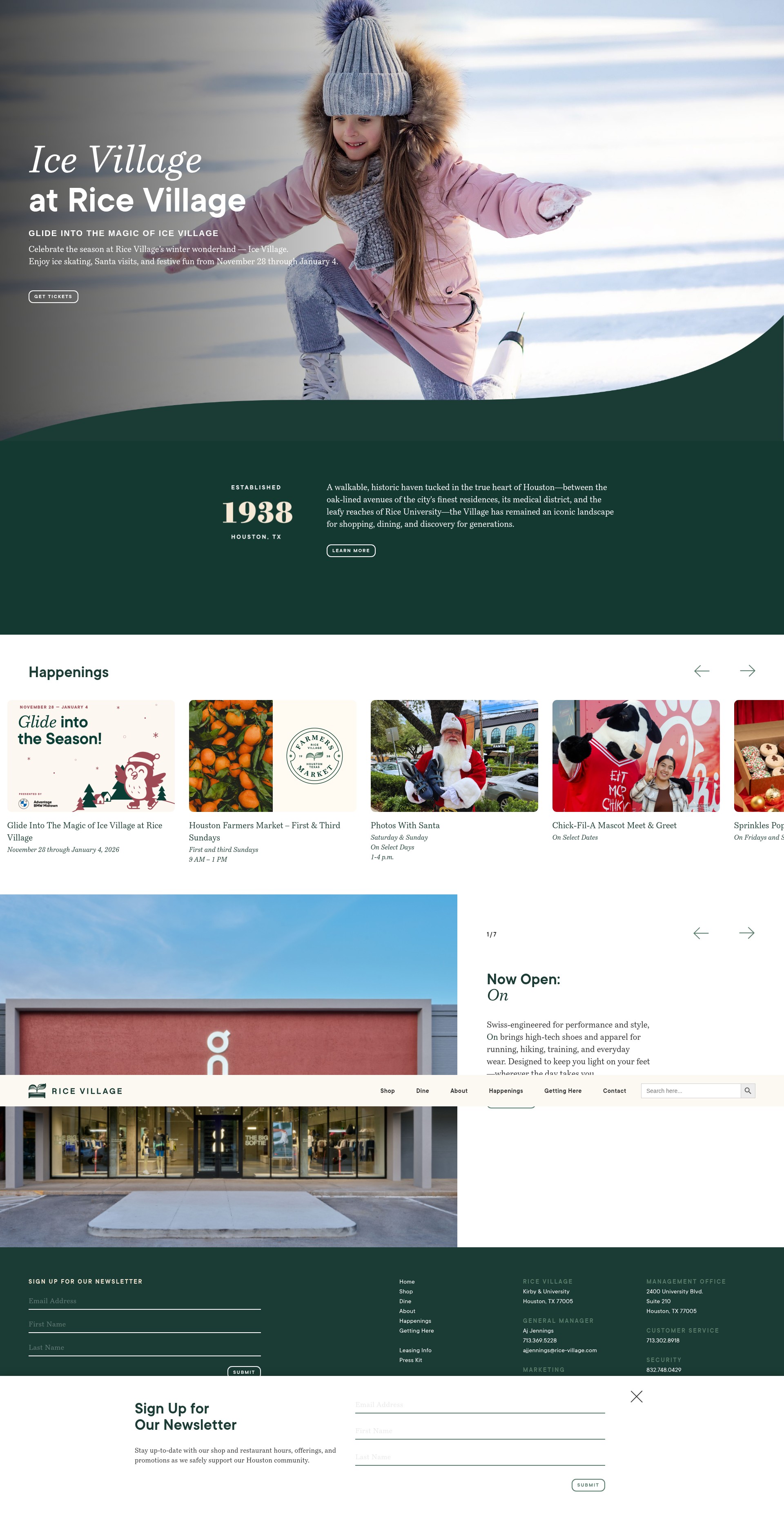 Screenshot of rice-village.com