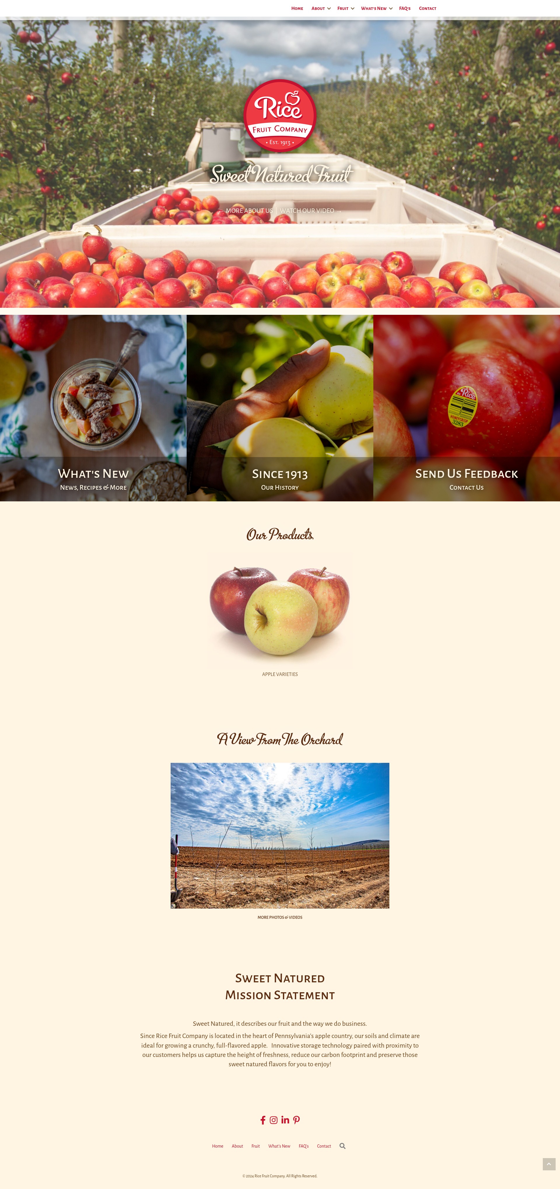 Screenshot of ricefruit.com