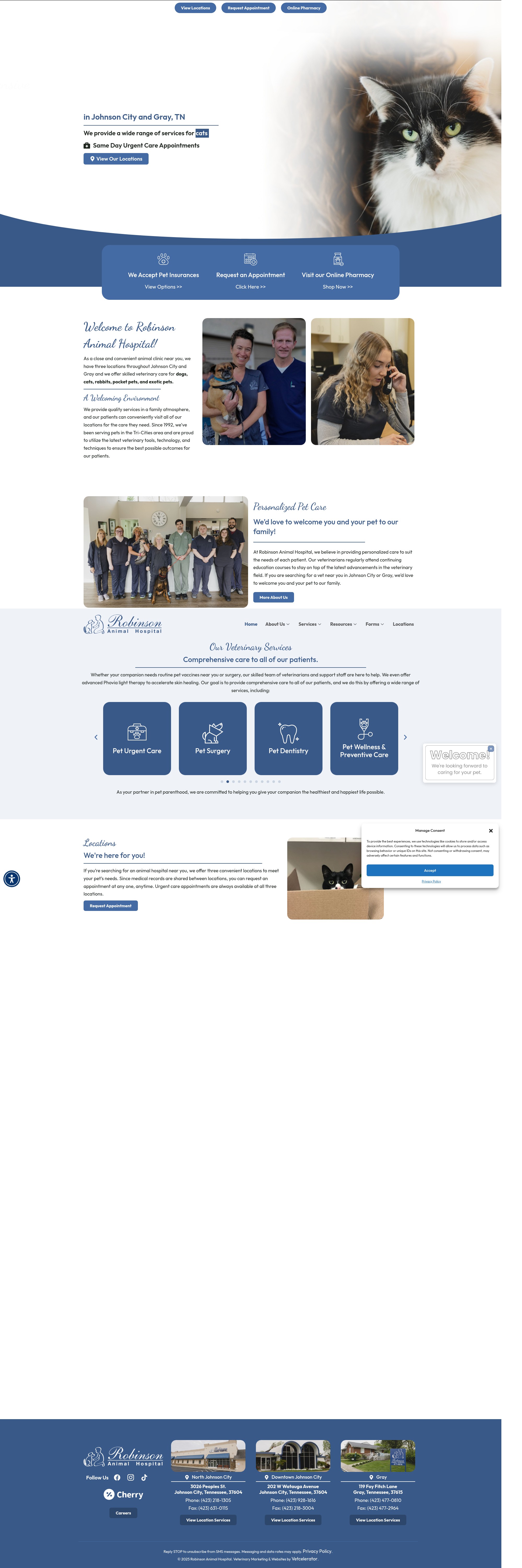 Screenshot of robinsonah.com