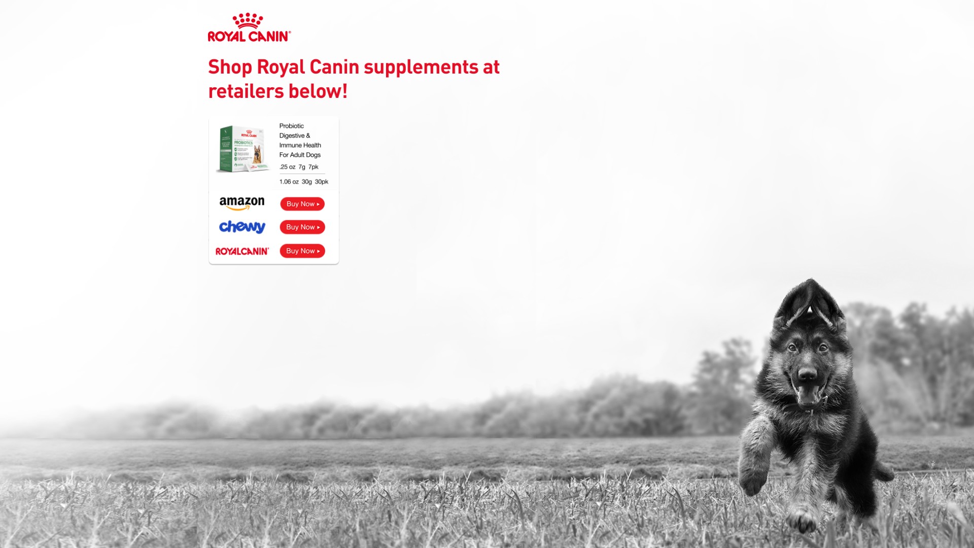 Screenshot of royalcanin-probiotics.com
