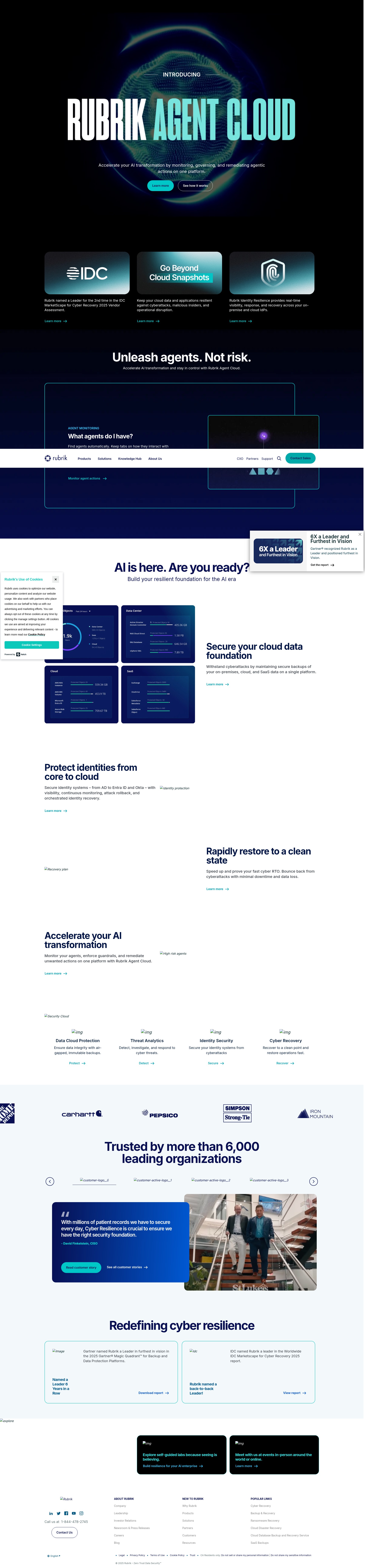 Screenshot of rubrik.com
