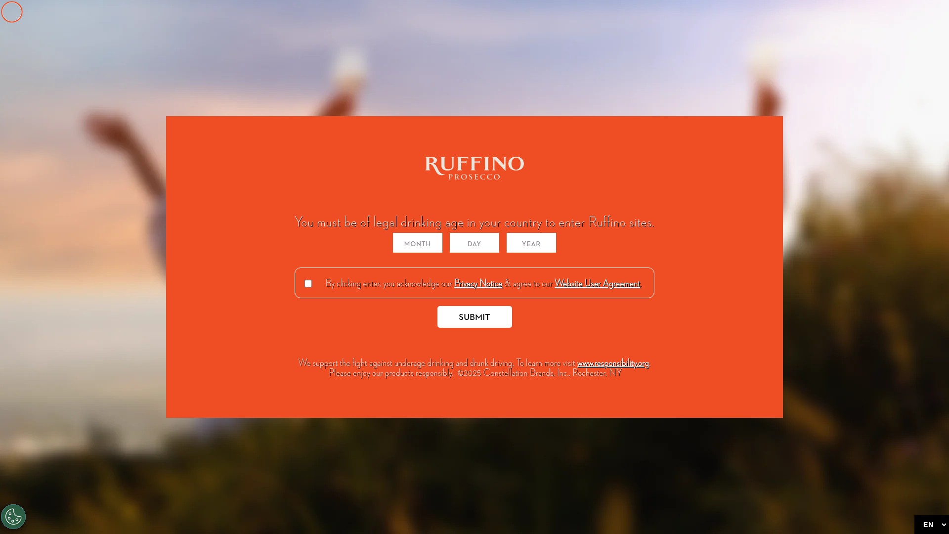 Screenshot of ruffinosparkling.it