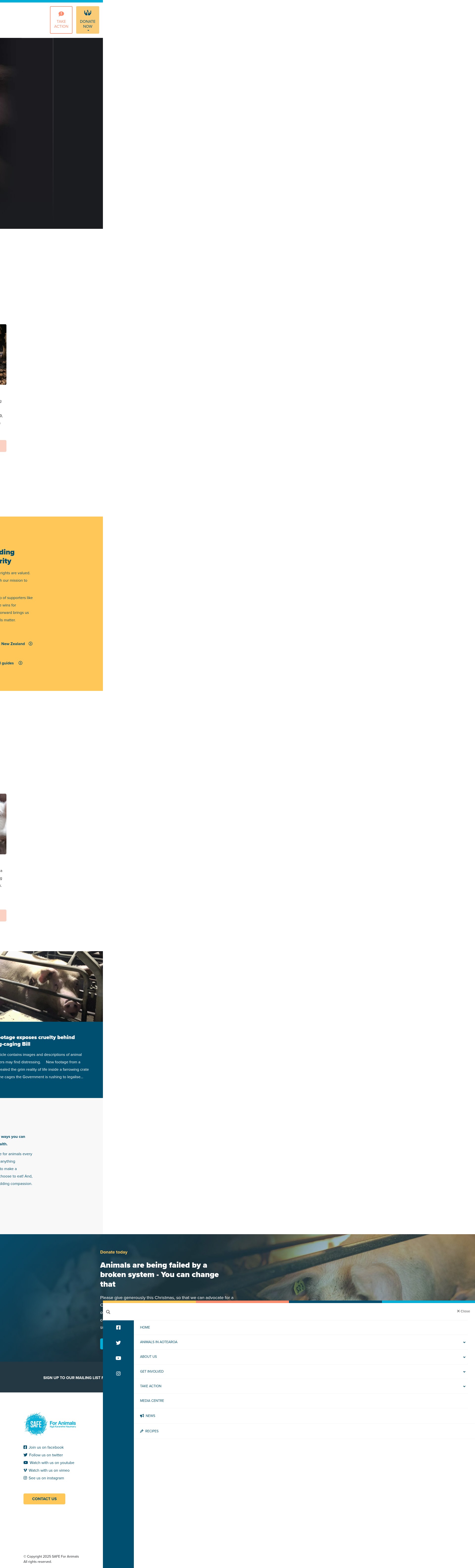 Screenshot of safe.org.nz