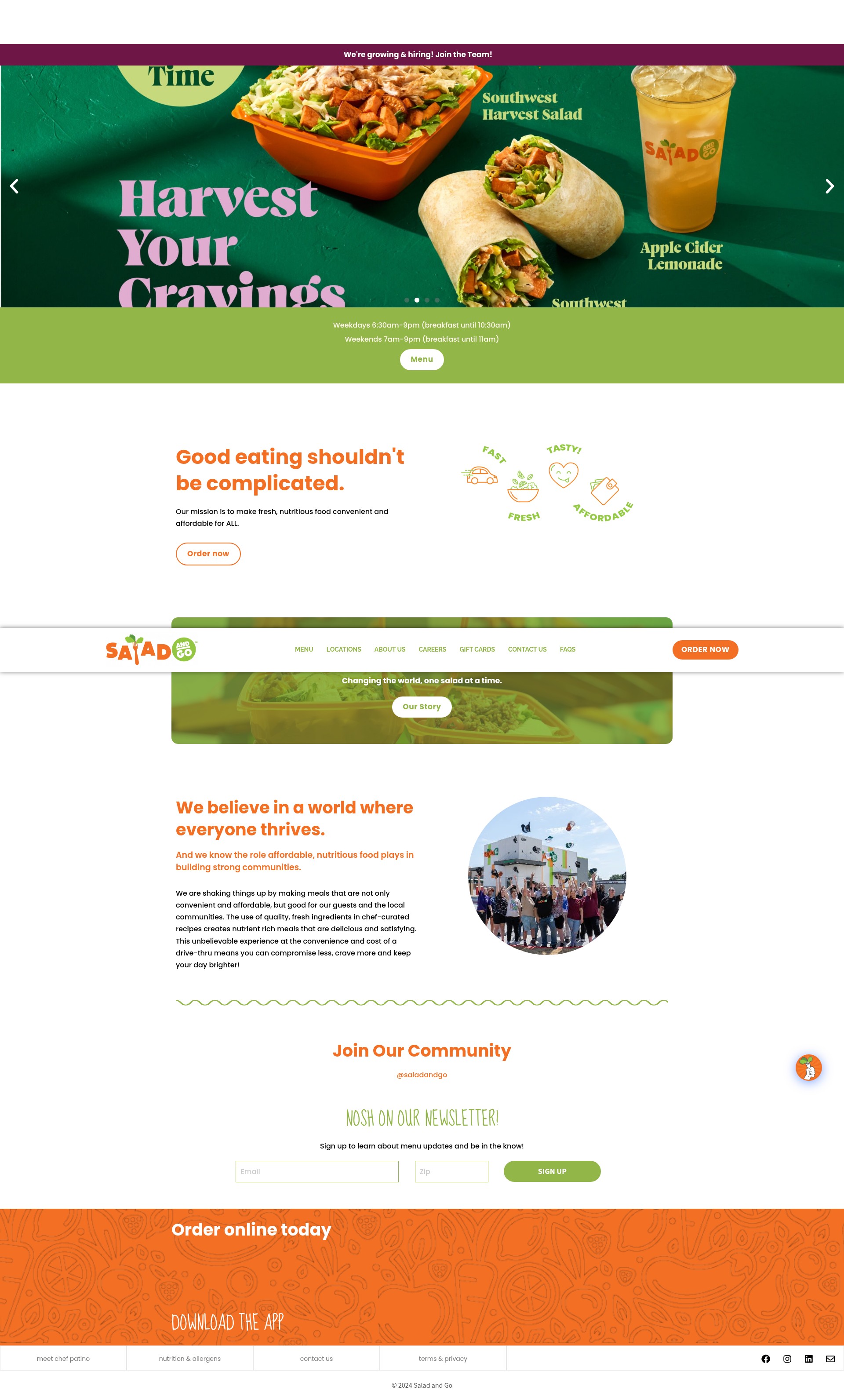 Screenshot of saladandgo.com