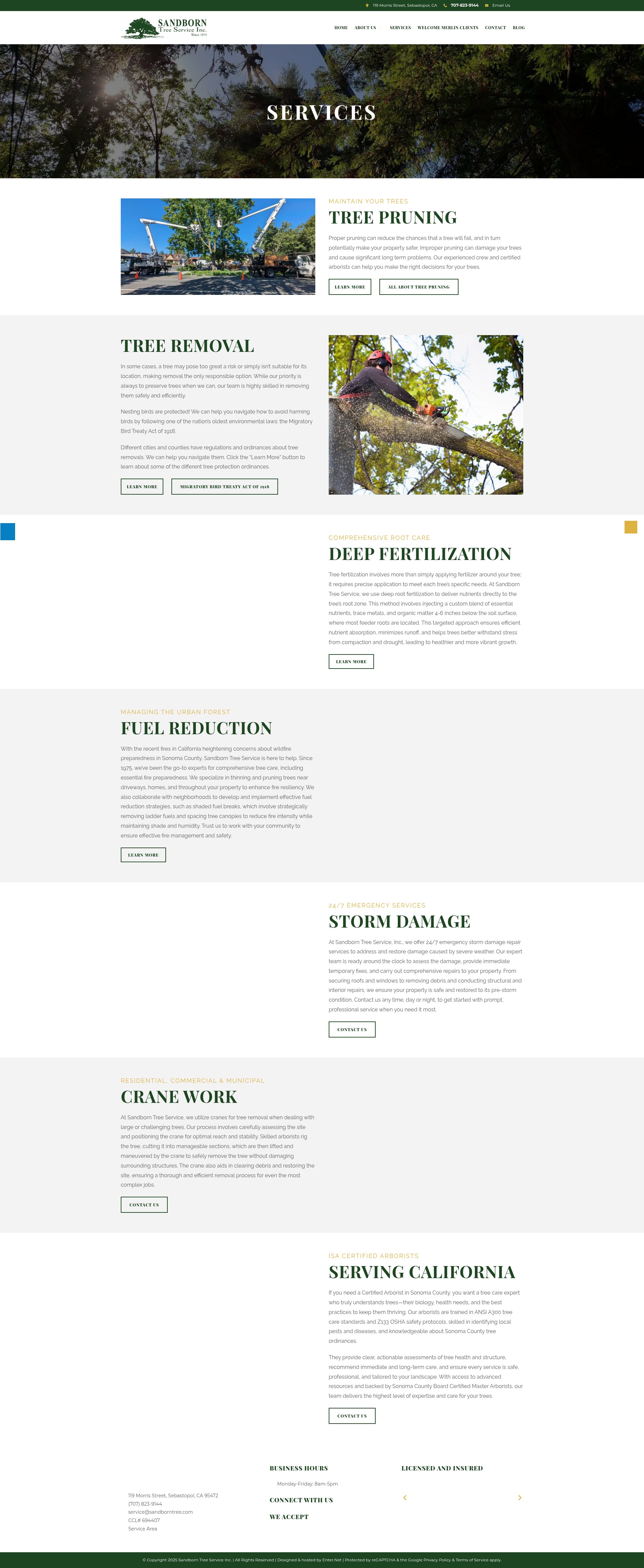 Screenshot of sandborntree.com