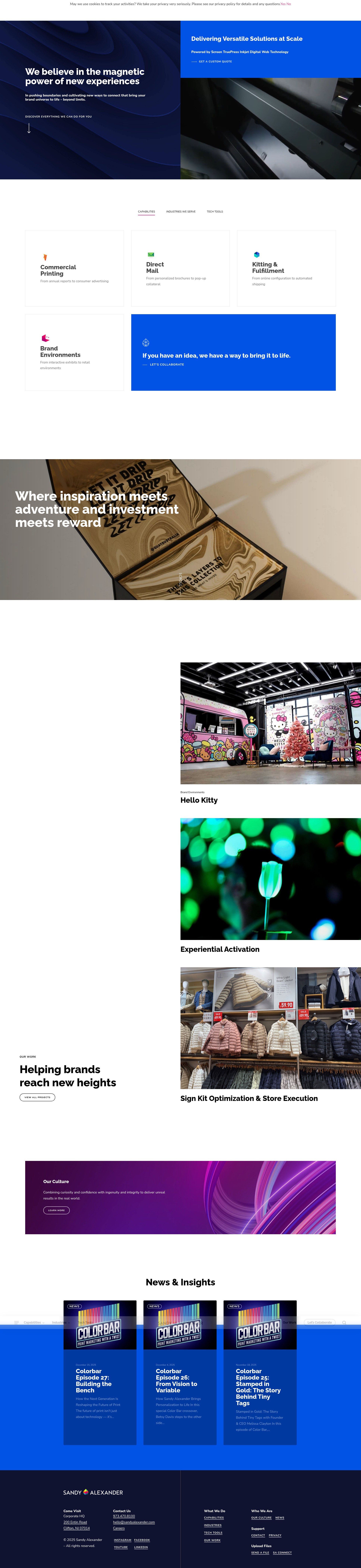 Screenshot of sandyalexander.com