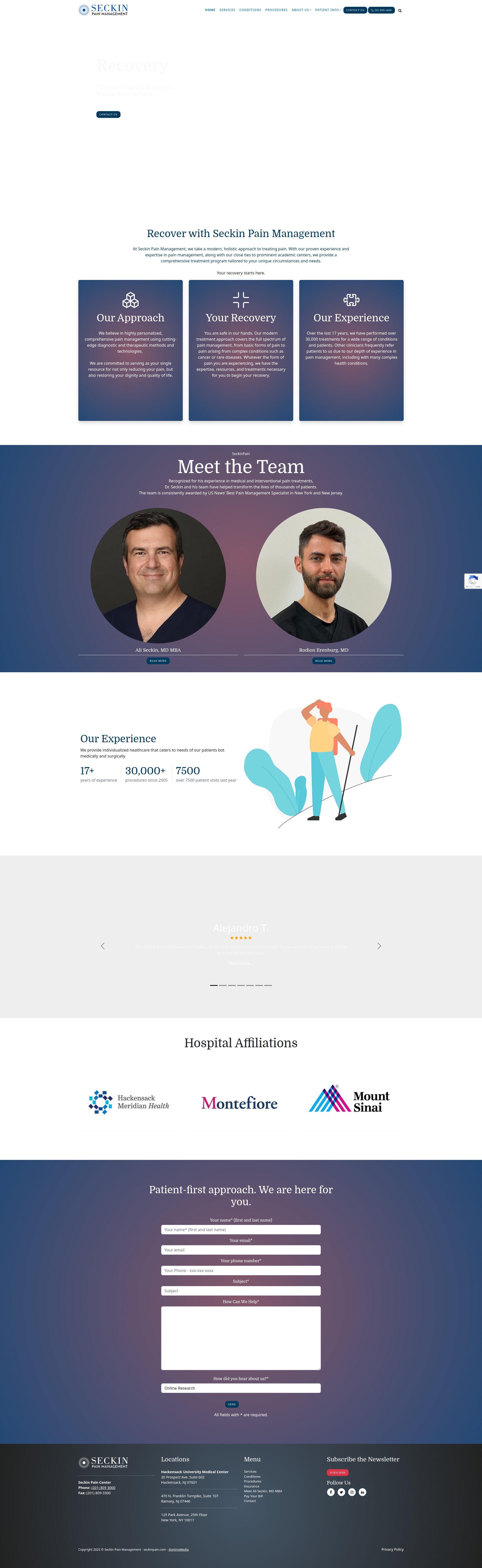 Screenshot of seckinpain.com