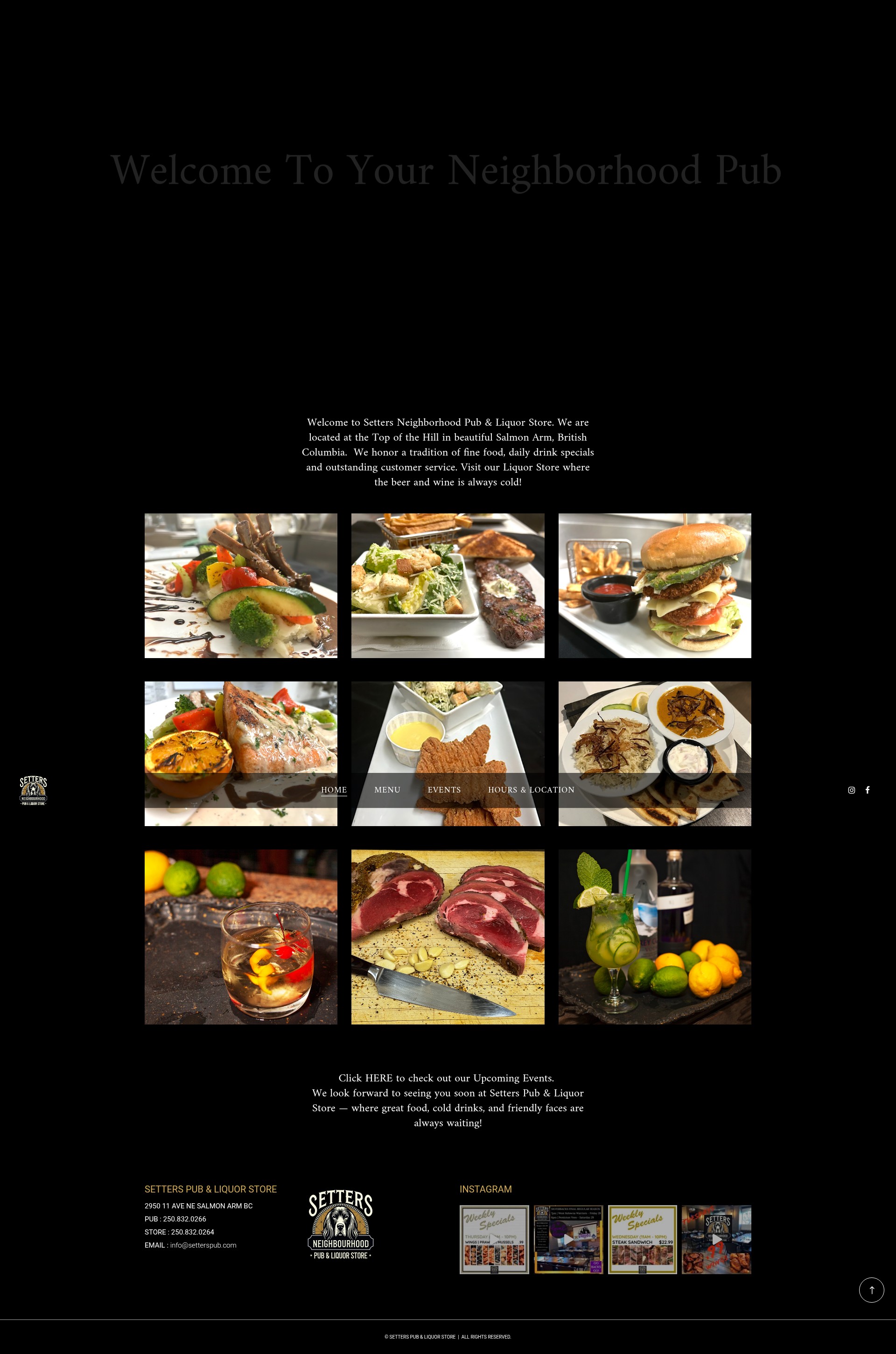 Screenshot of setterspub.com