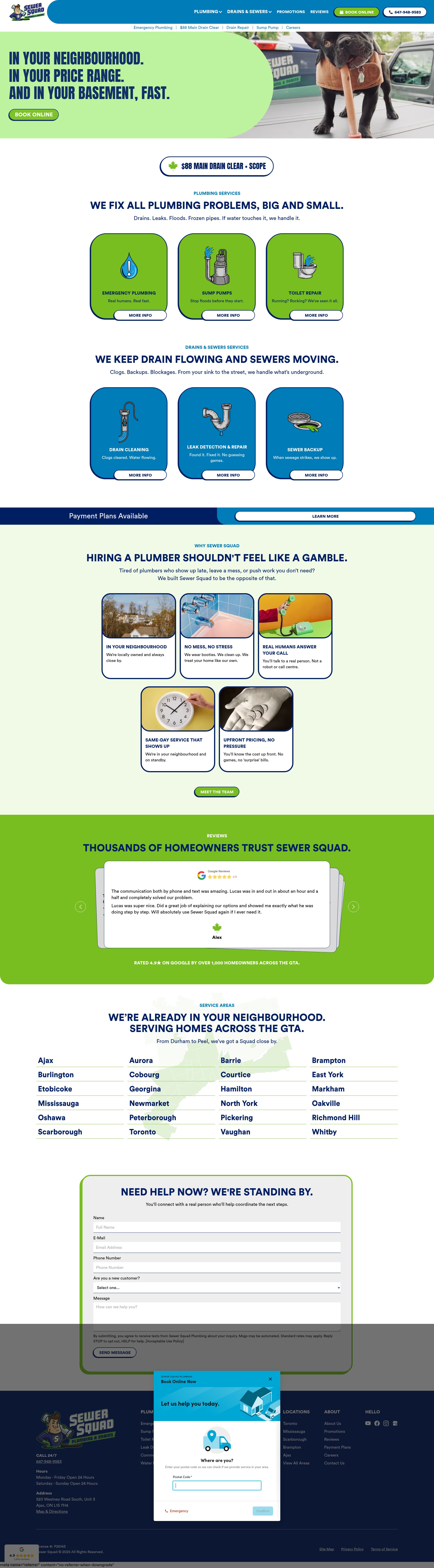 Screenshot of sewersquad.ca