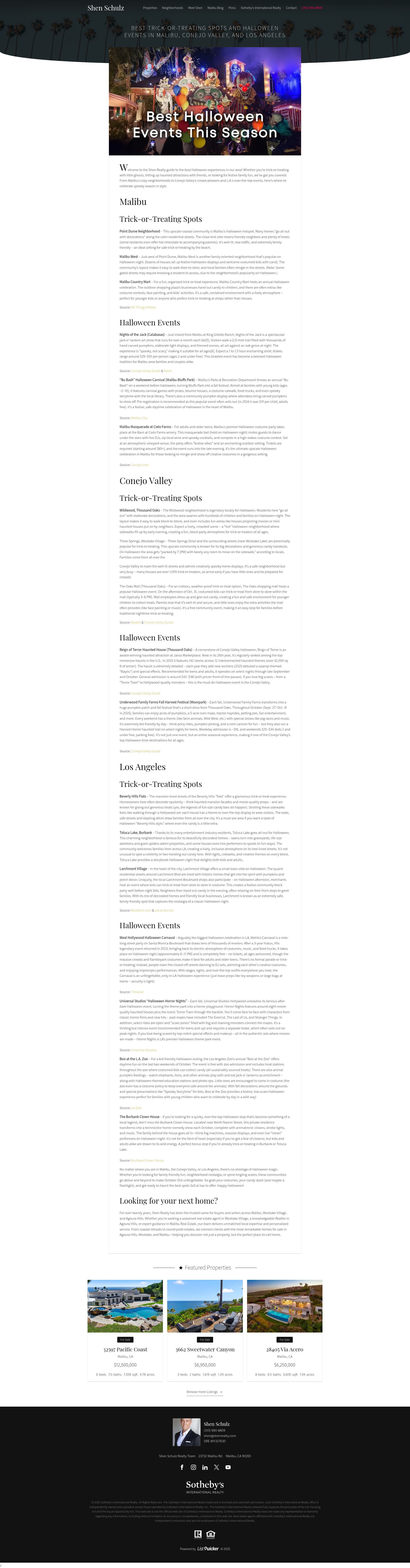 Screenshot of shenrealty.com