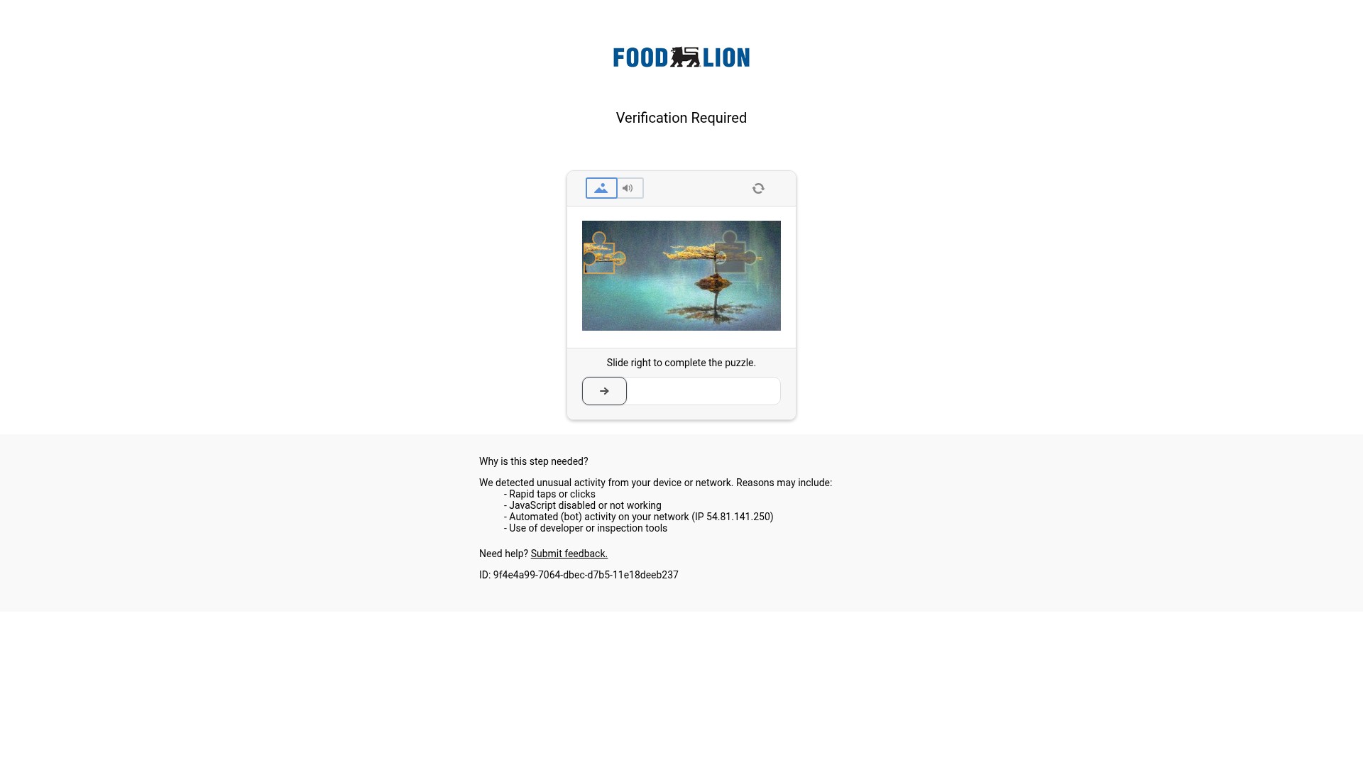 Screenshot of shop.foodlion.com