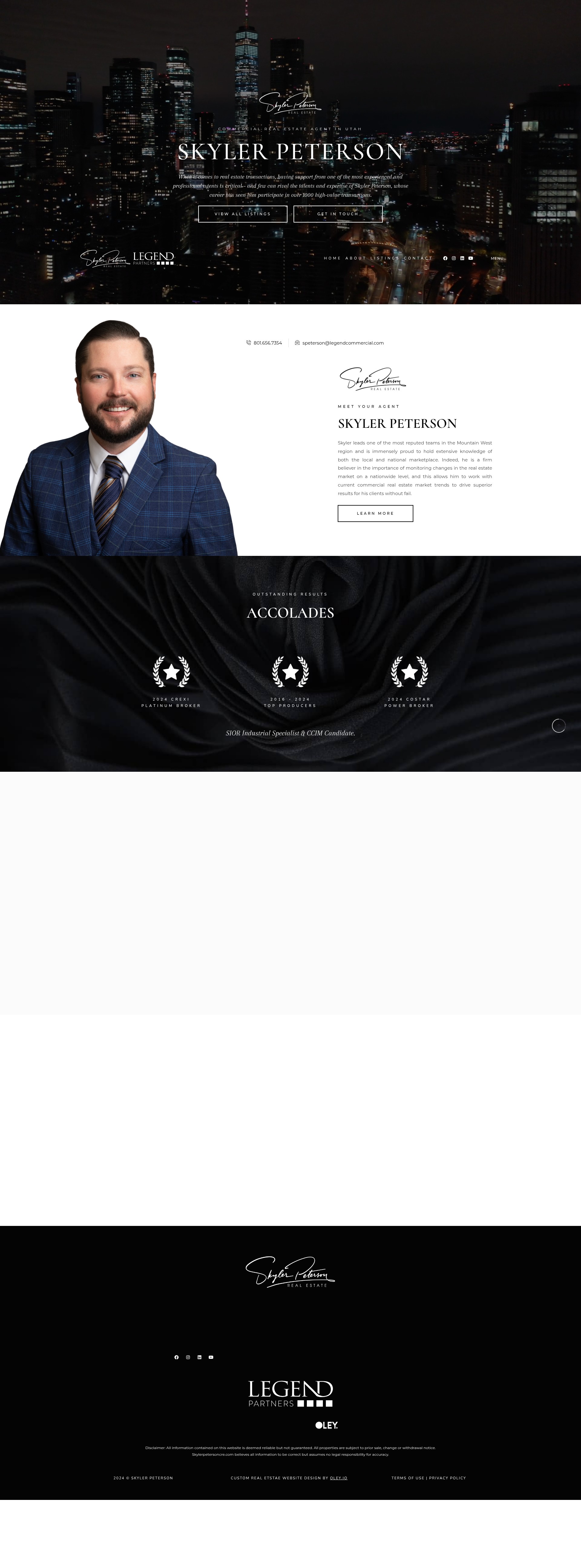 Screenshot of skylerpetersoncre.com