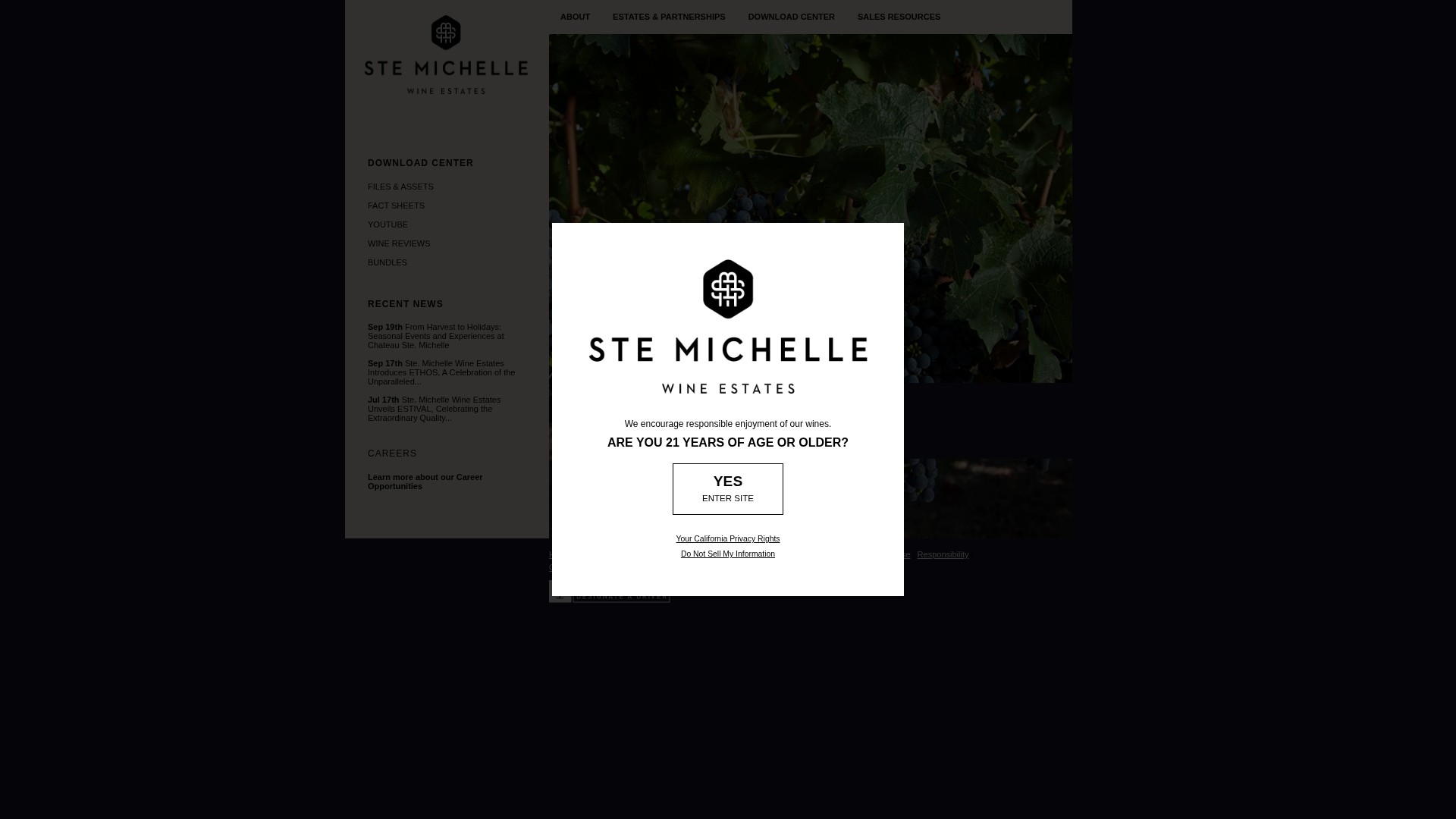 Screenshot of smwe.com