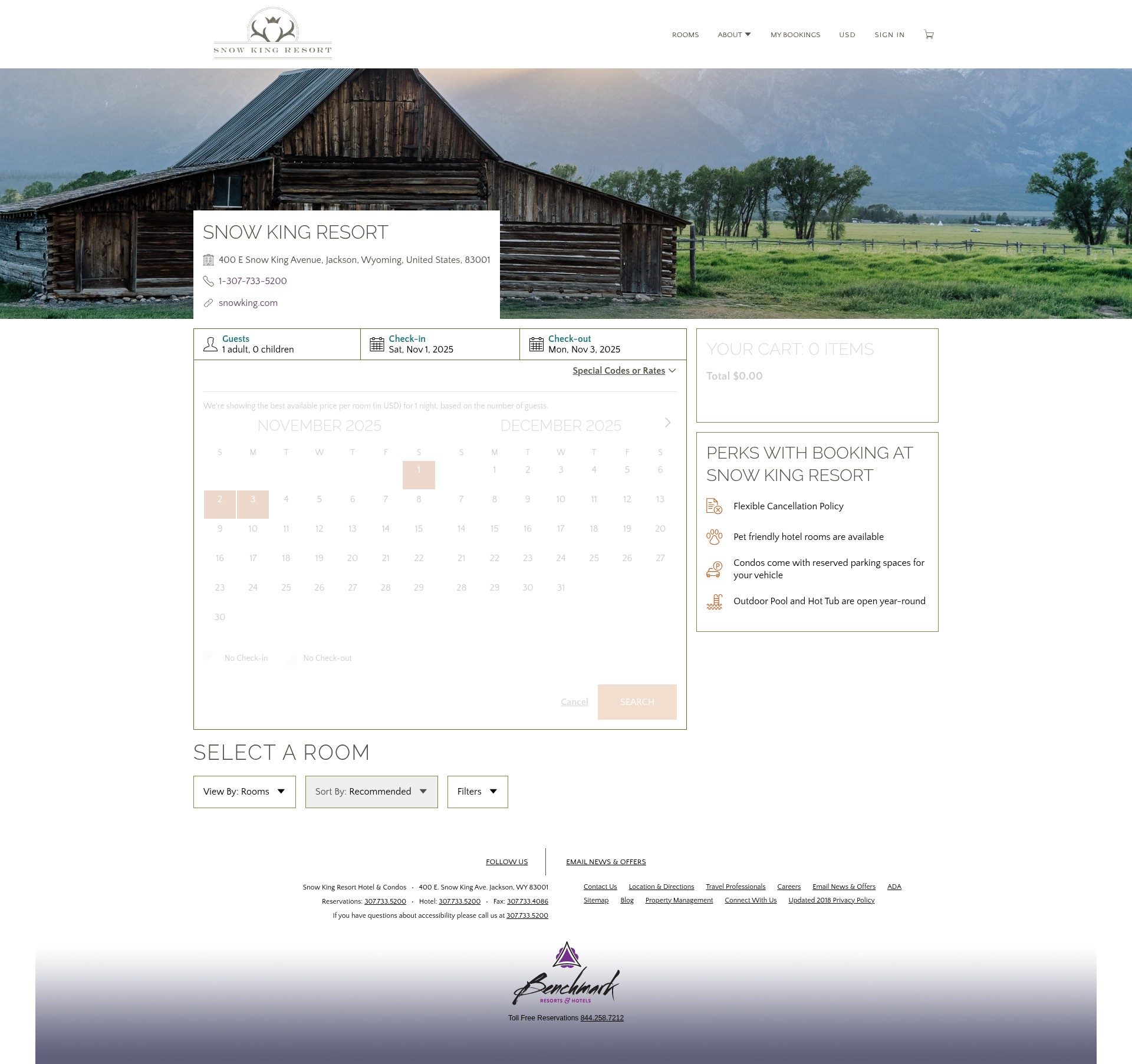 Screenshot of snowking.com