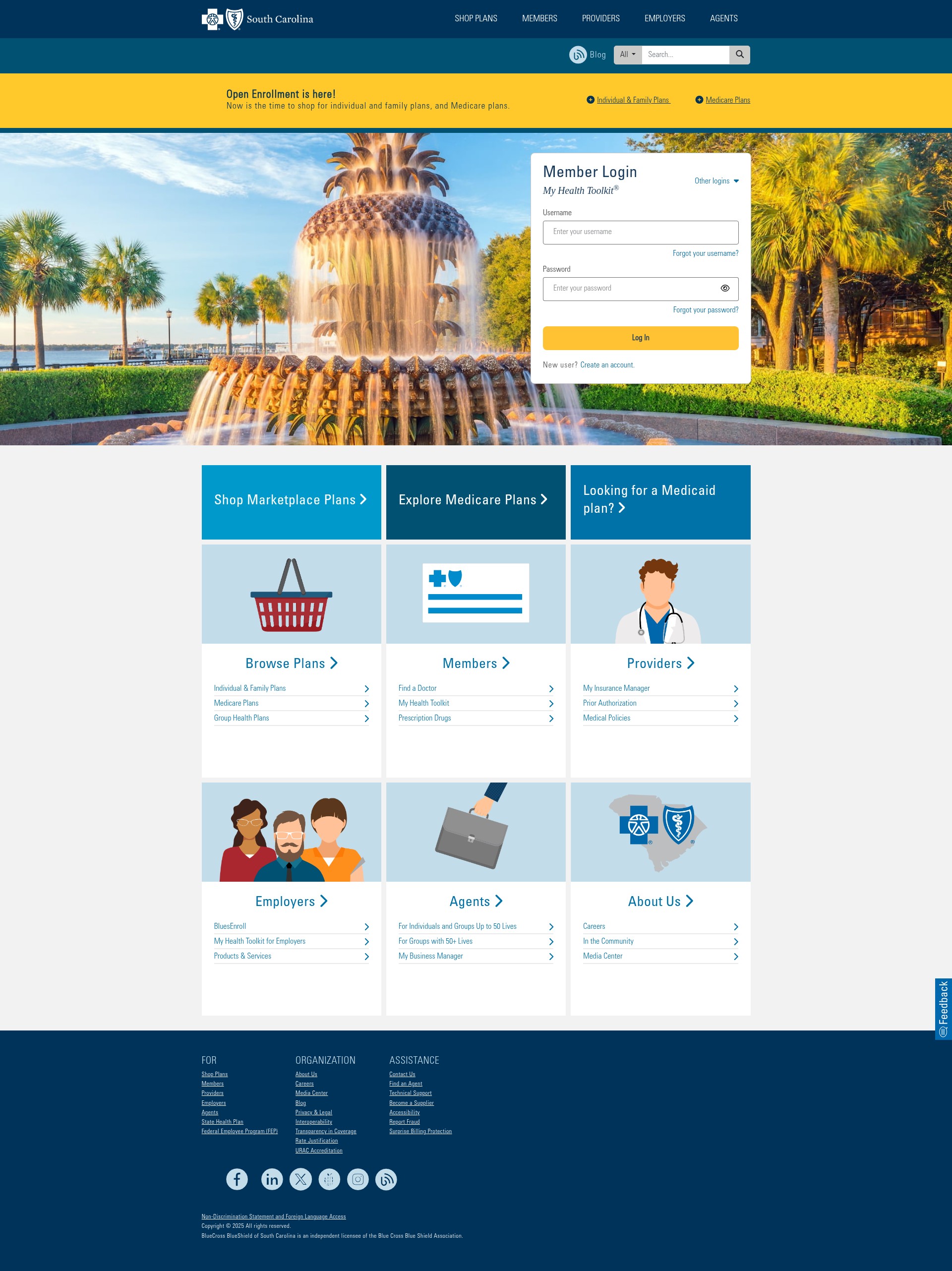 Screenshot of southcarolinablues.com