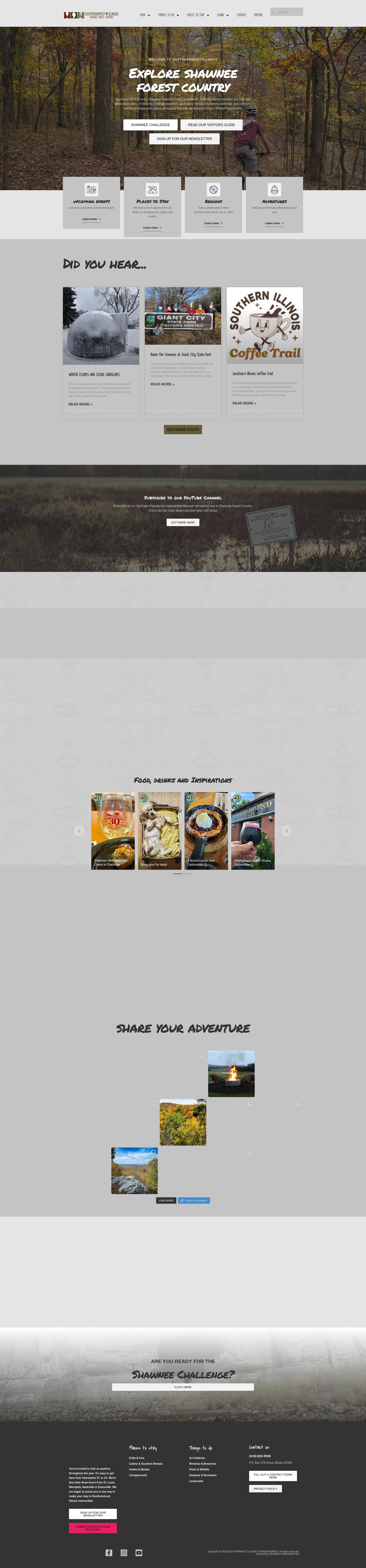 Screenshot of southernmostillinois.com