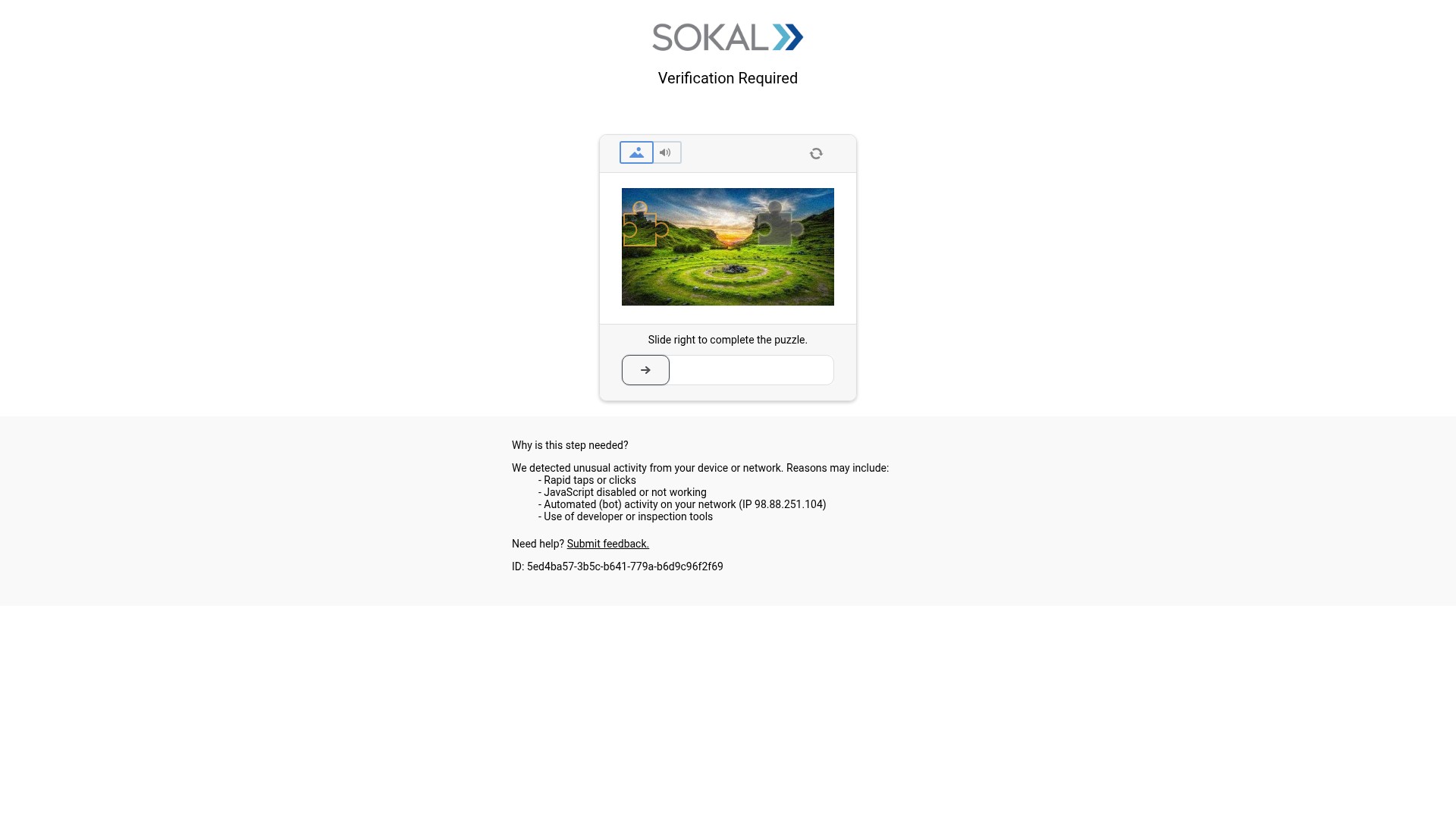 Screenshot of southernpineskia.com