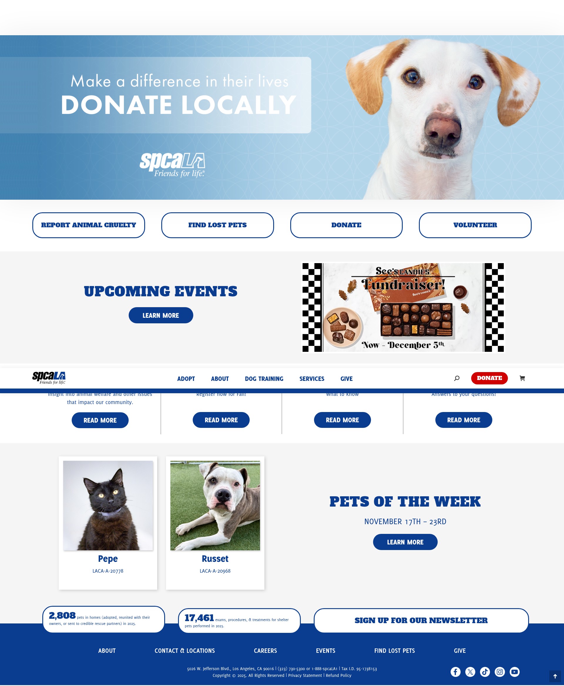 Screenshot of spcala.com