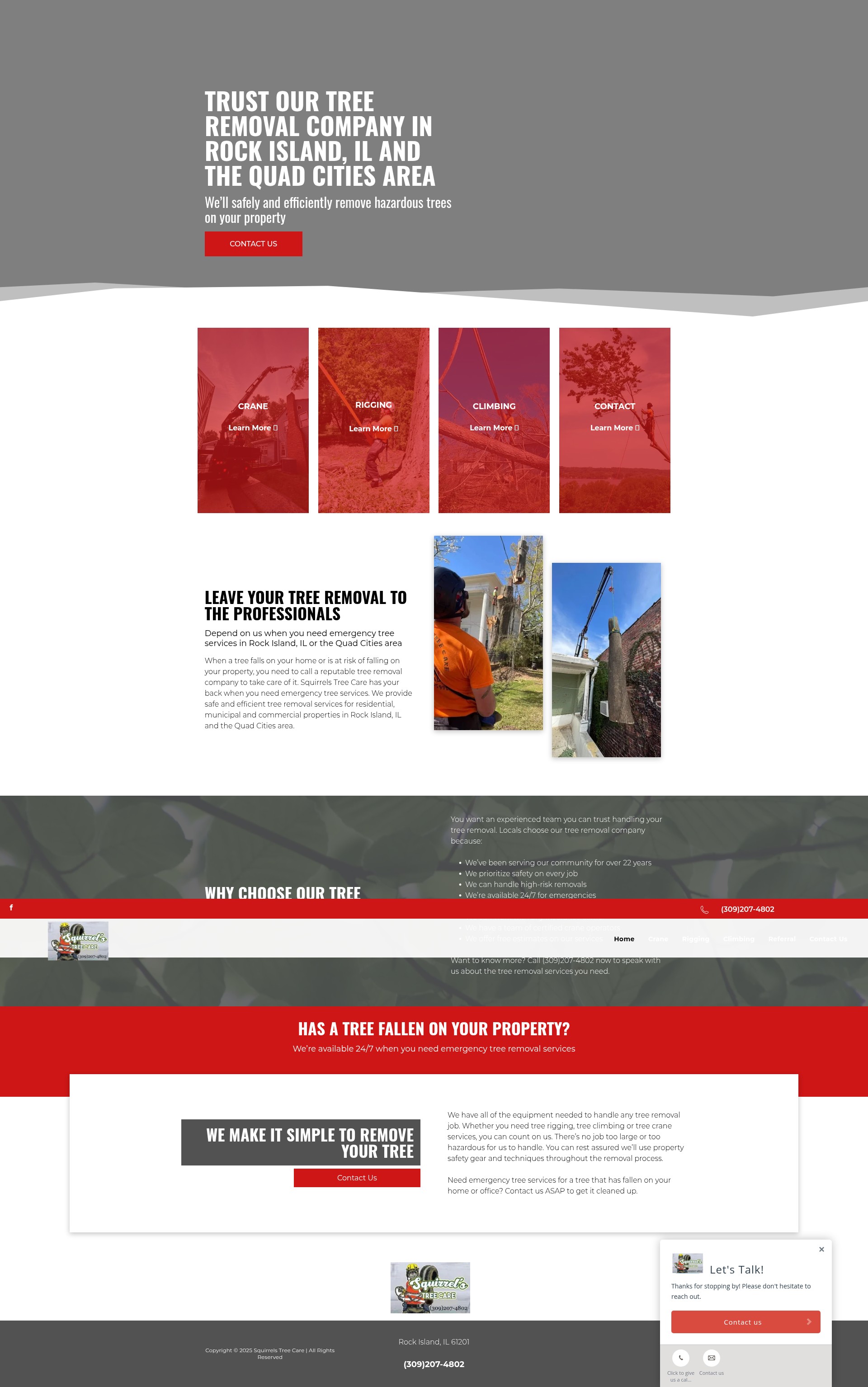 Screenshot of squirrelstreecare.com