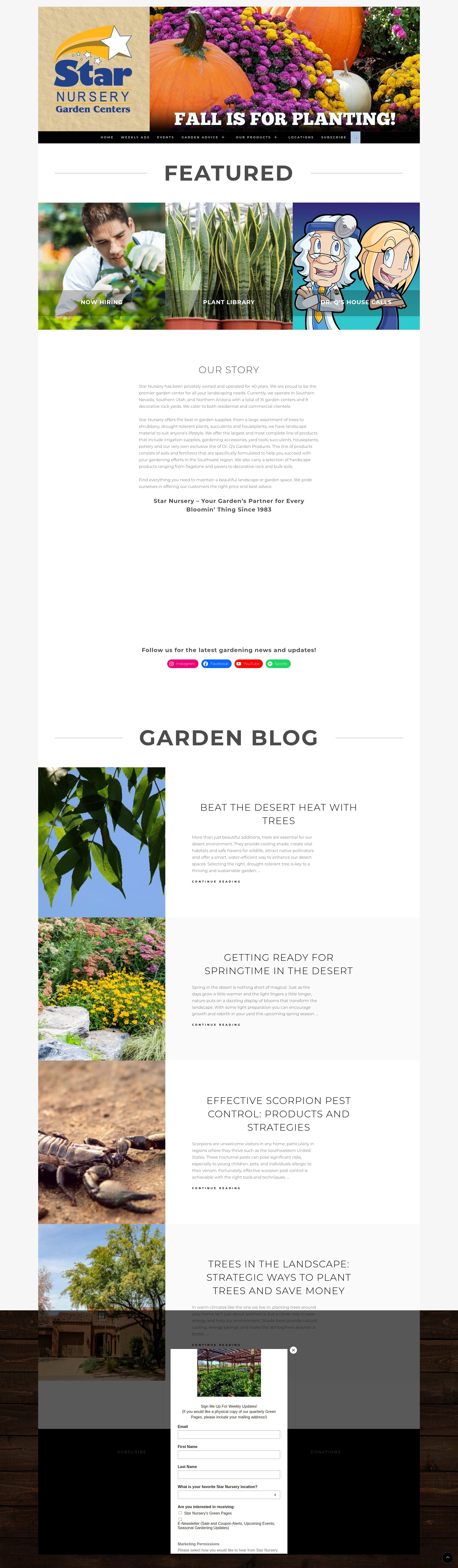 Screenshot of starnursery.com