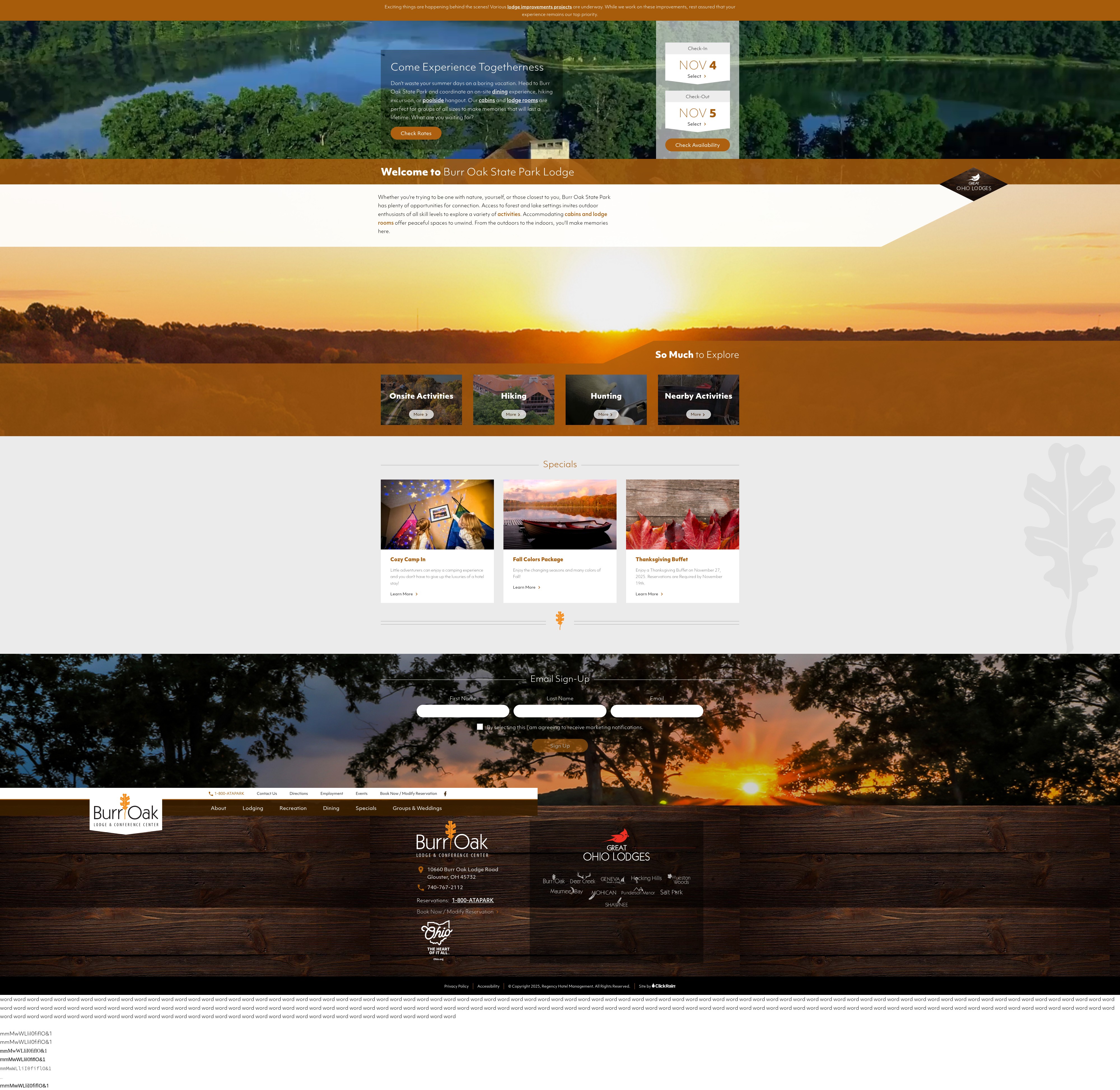 Screenshot of stayburroak.com