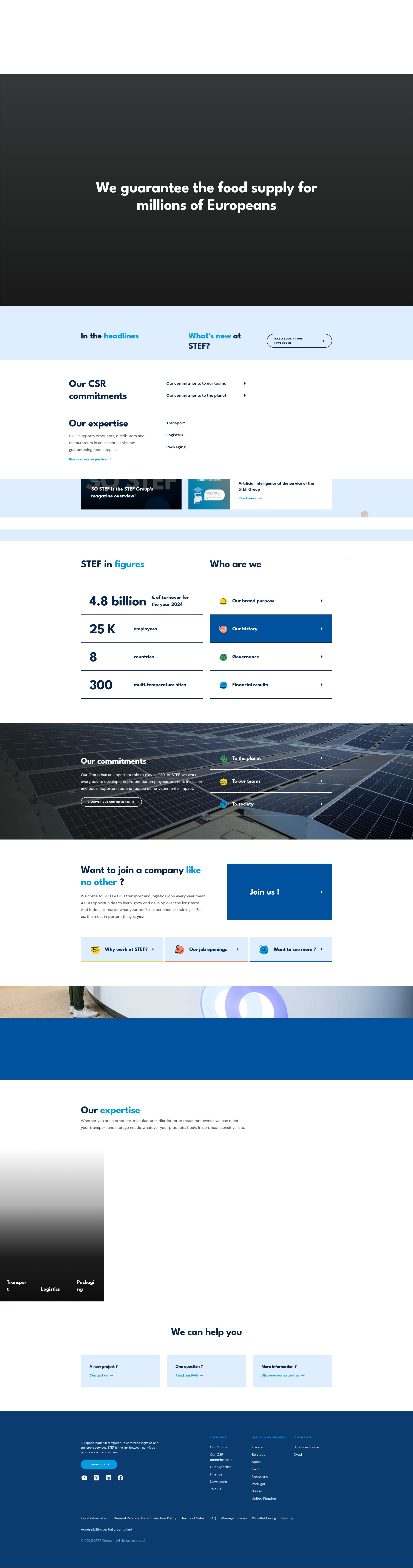 Screenshot of stef.com