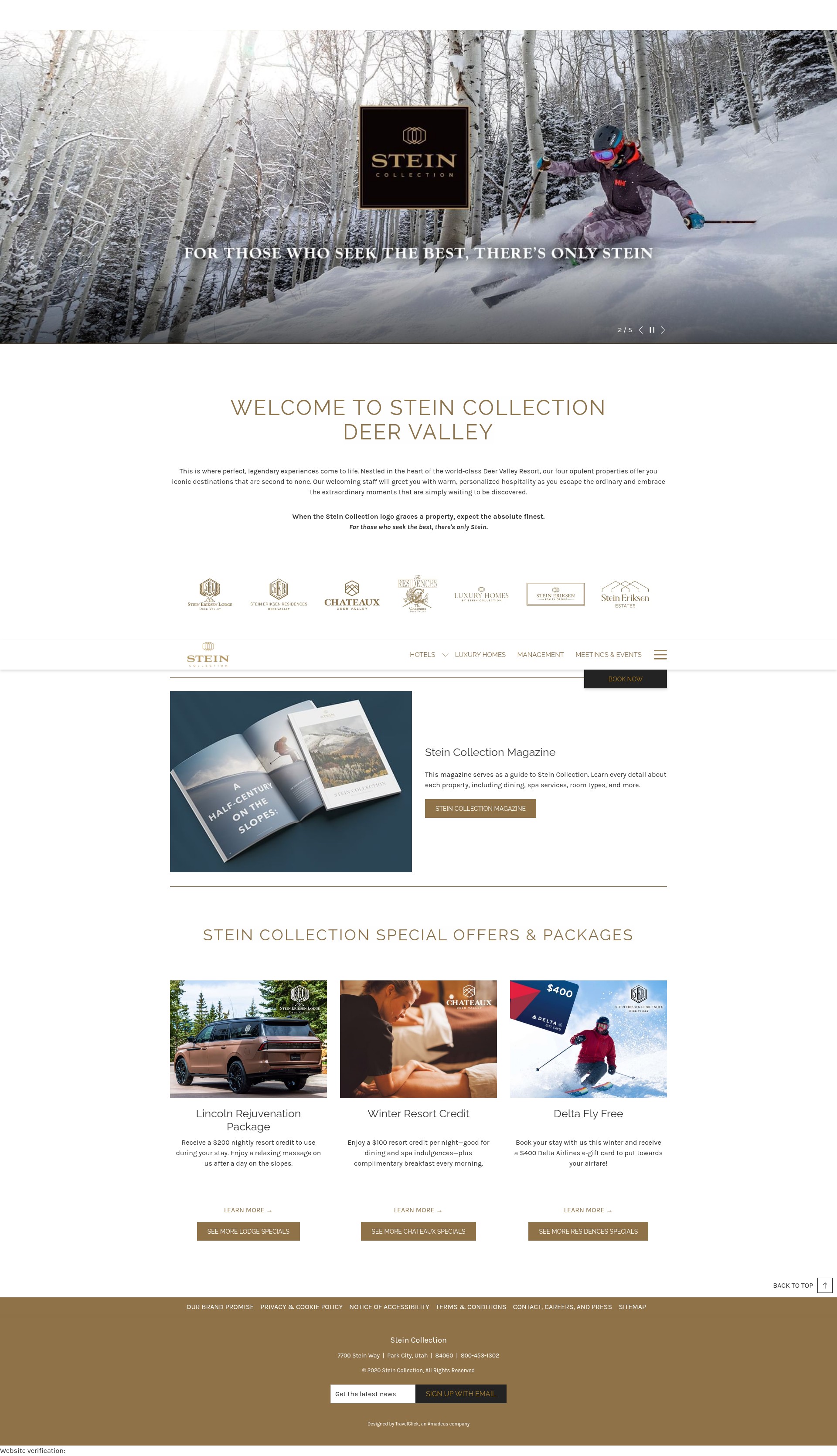 Screenshot of steincollection.com