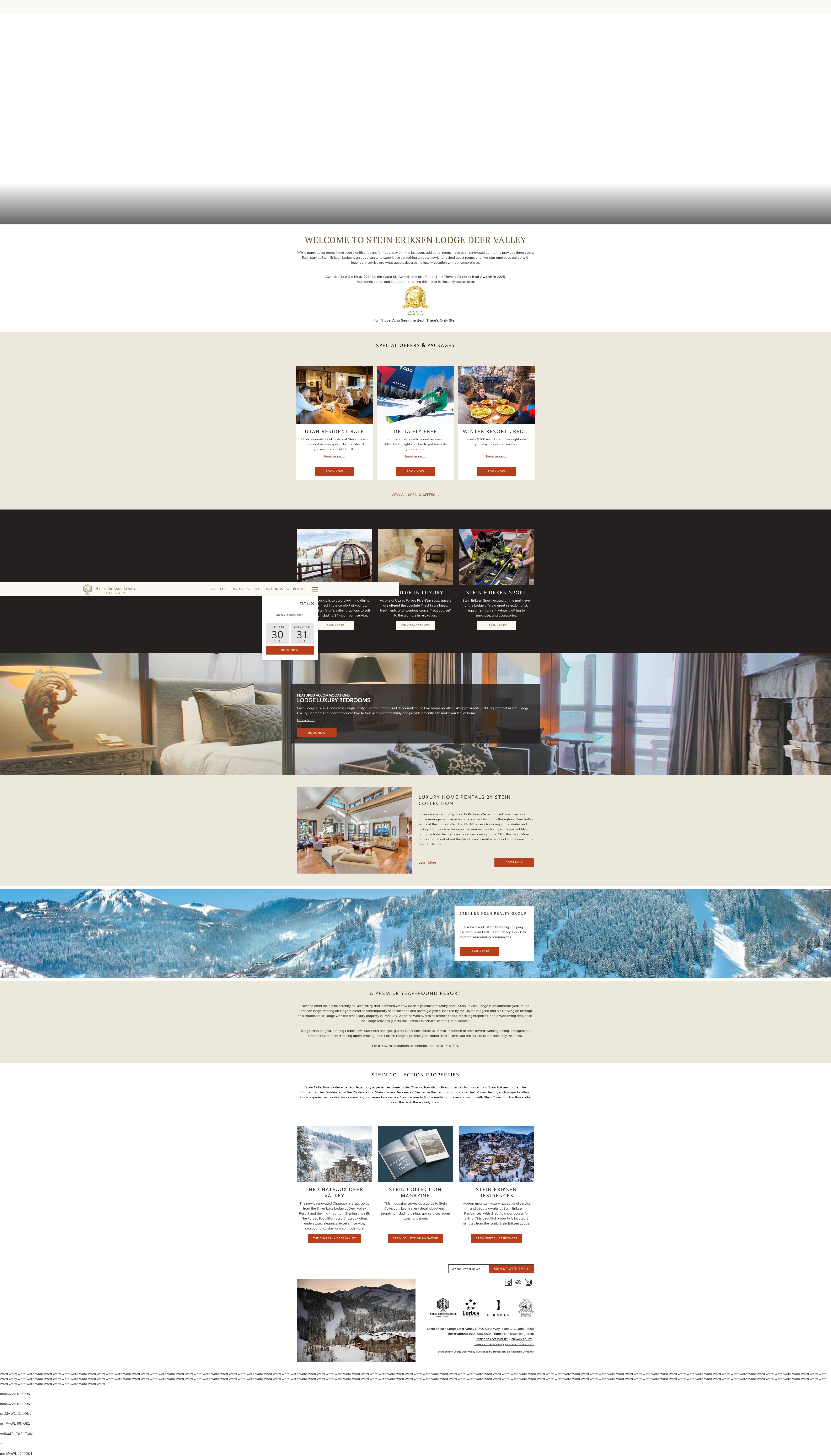 Screenshot of steinlodge.com