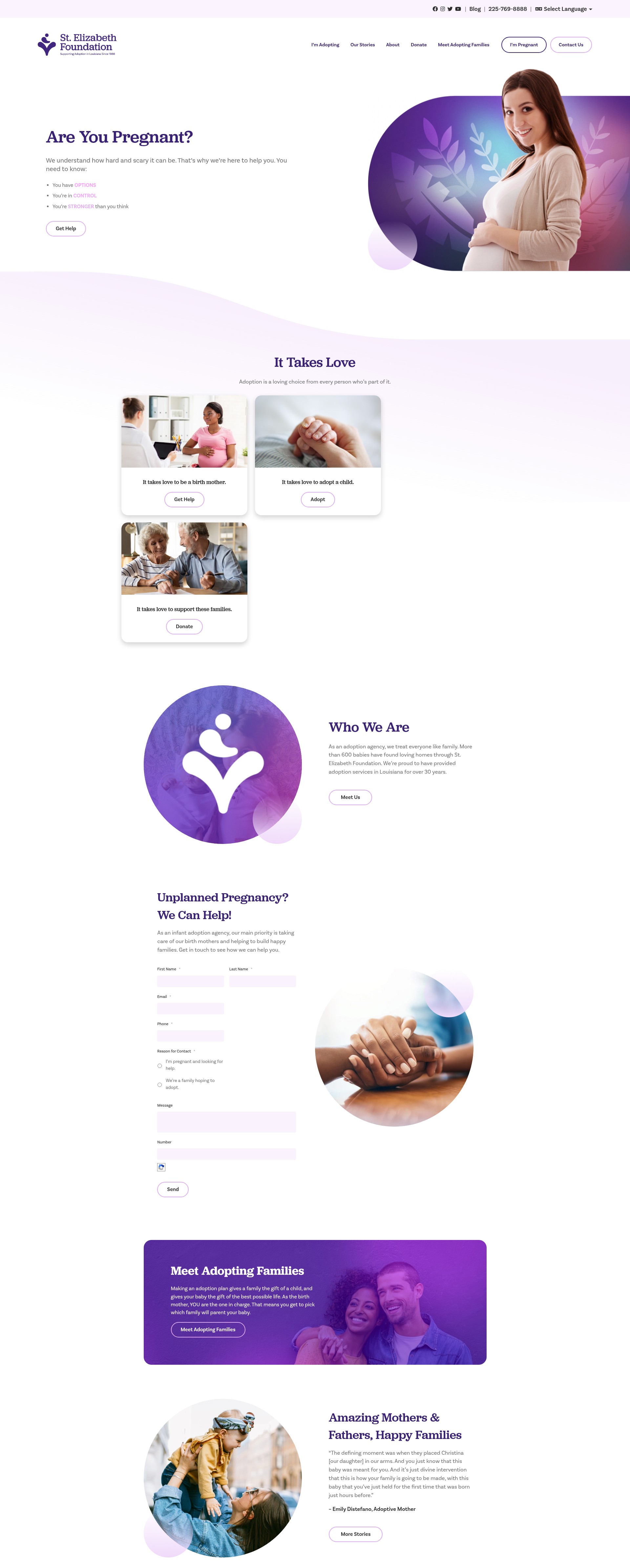 Screenshot of stelizabethfoundation.org