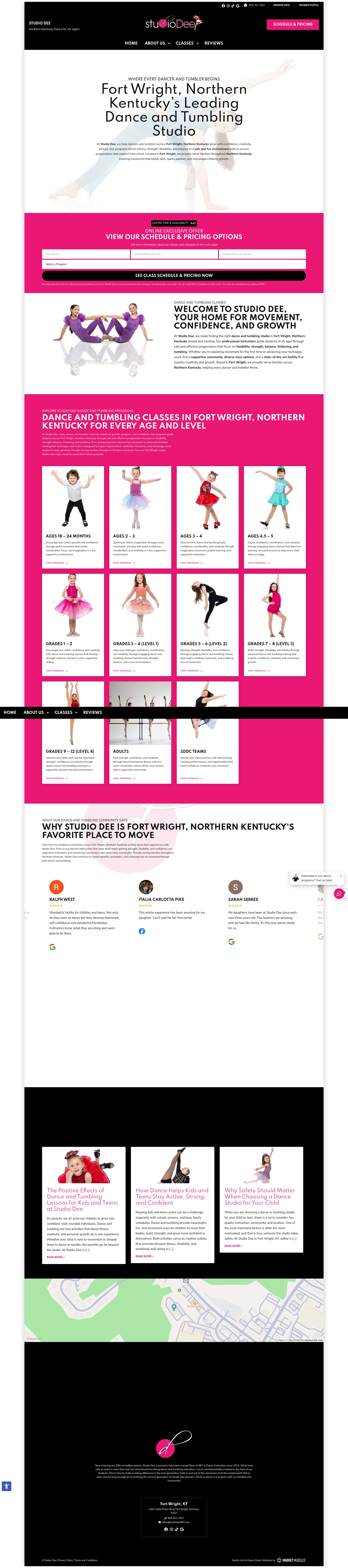 Screenshot of studiodeenky.com