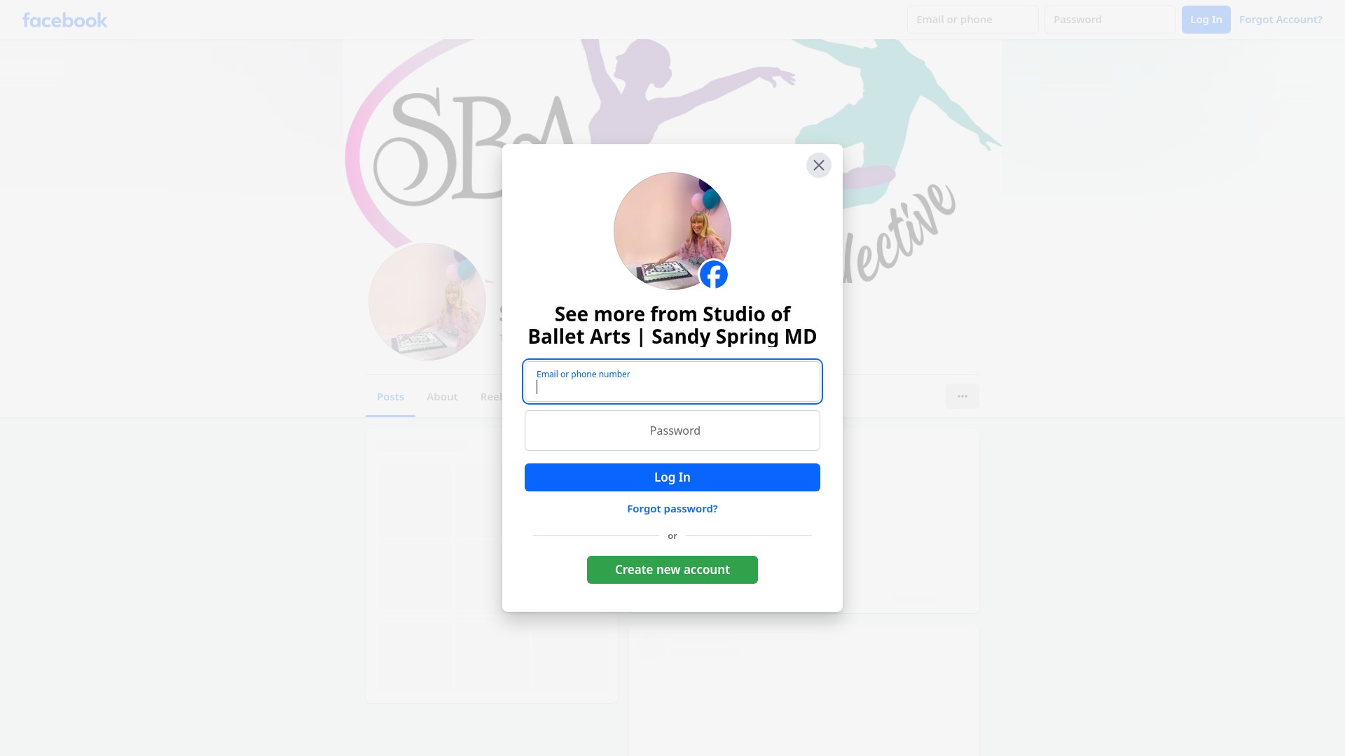 Screenshot of studioofballetarts.com