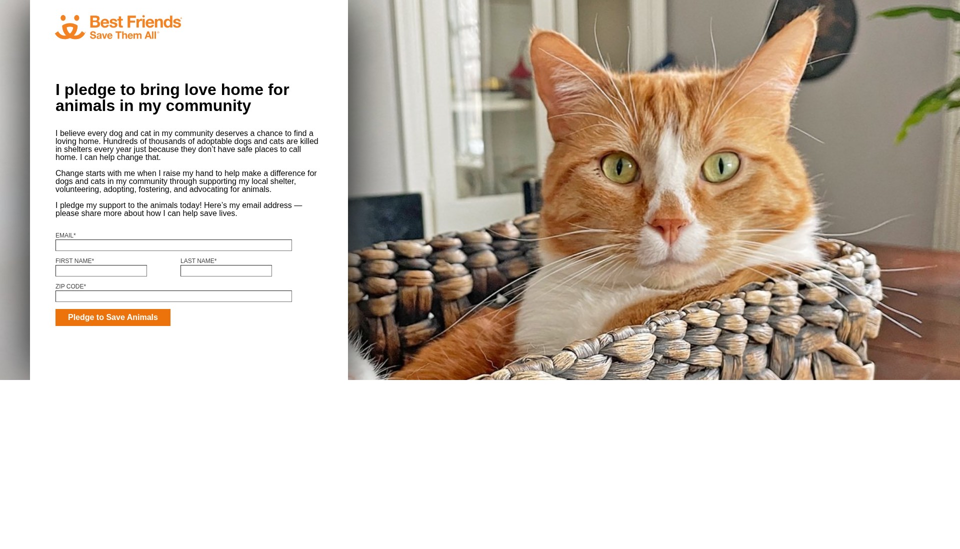 Screenshot of support.bestfriends.org