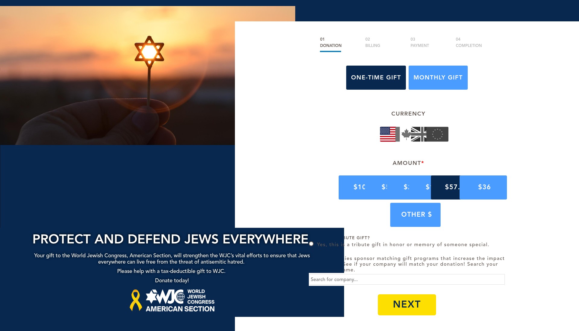 Screenshot of support.worldjewishcongress.org