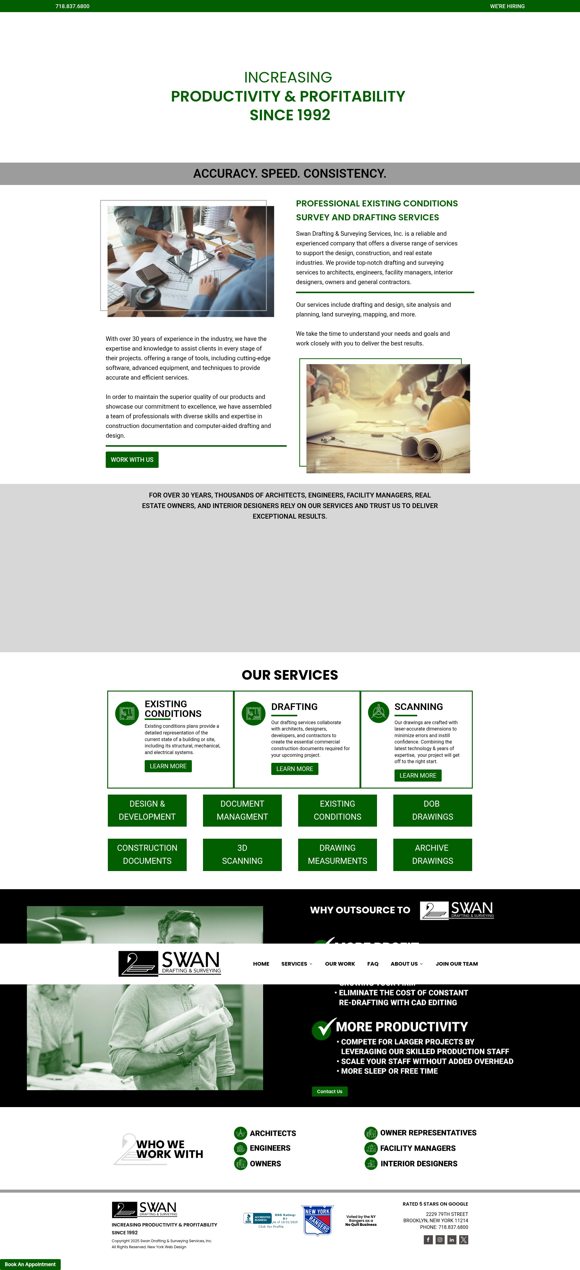 Screenshot of swandrafting.com