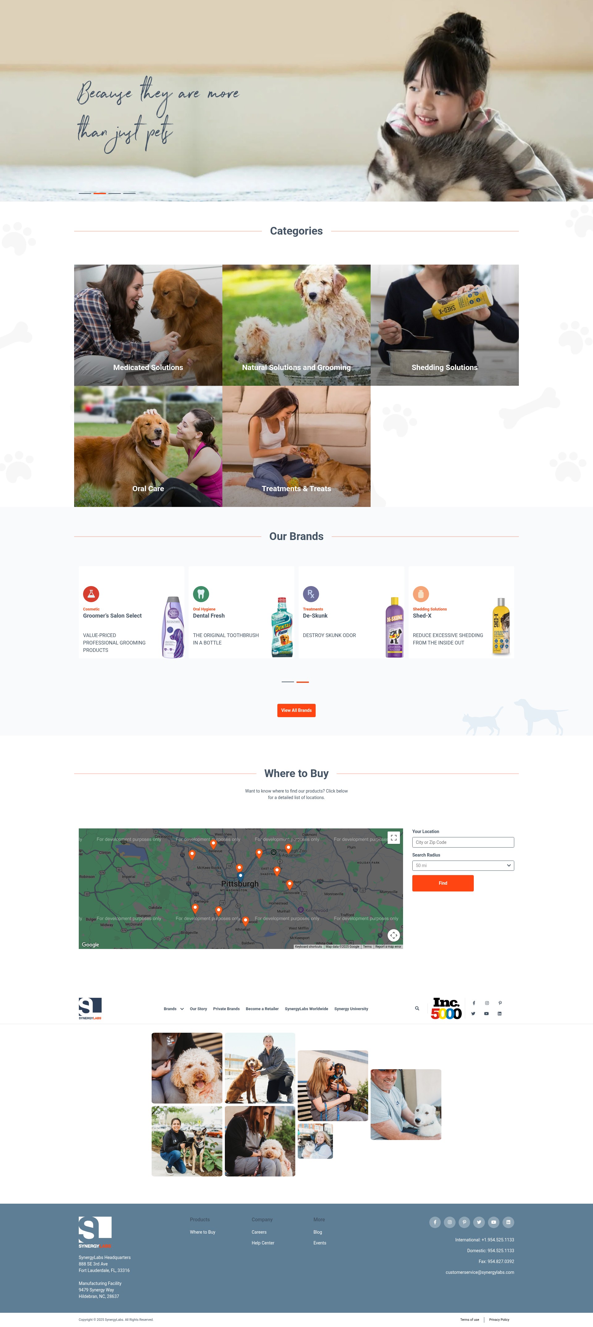 Screenshot of synergylabs.com