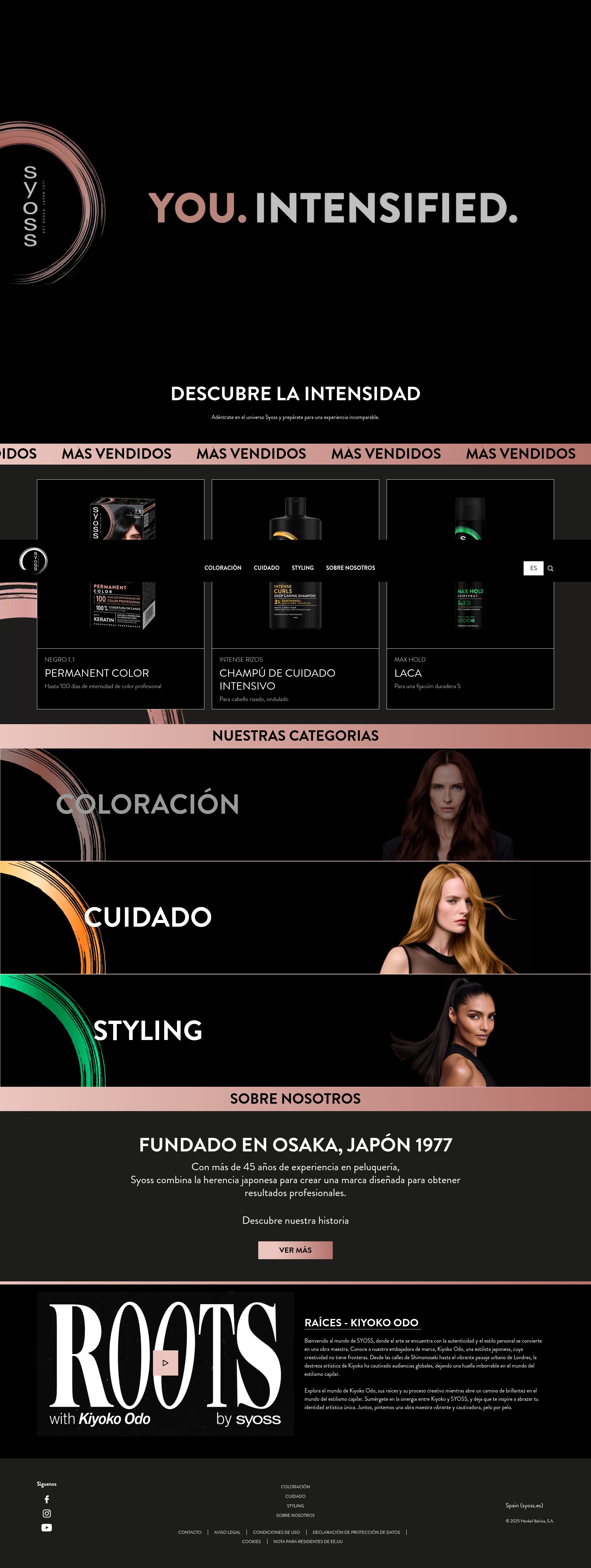 Screenshot of syoss.es