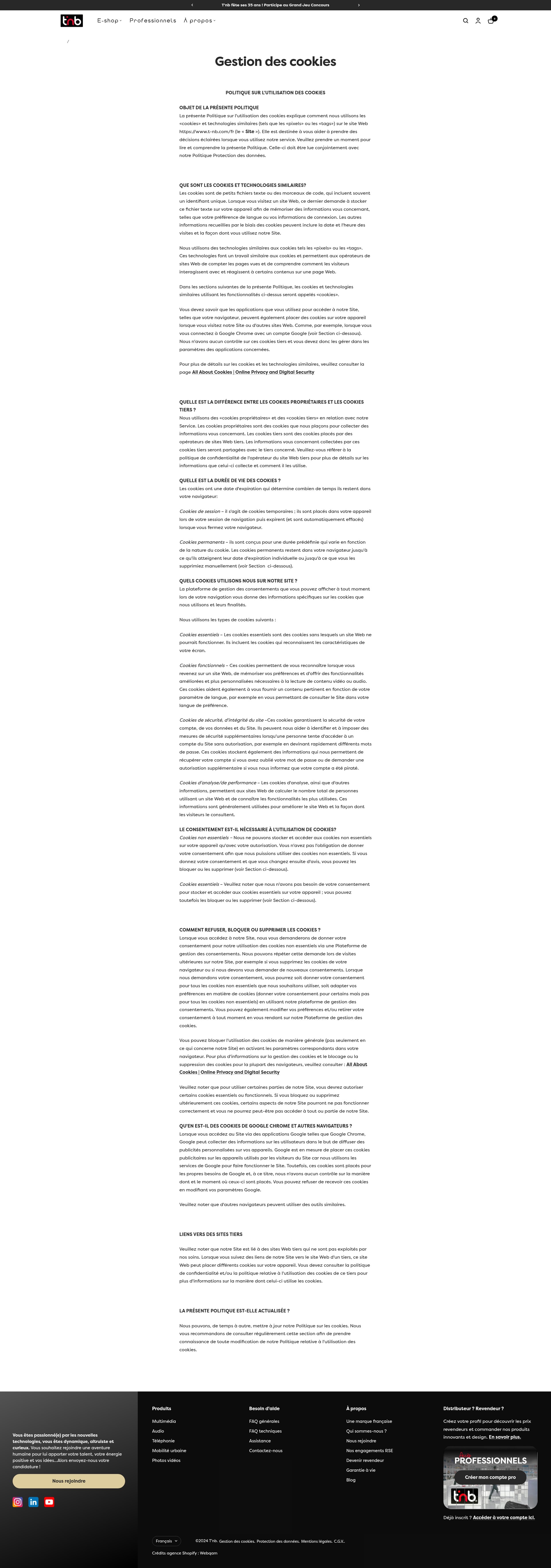 Screenshot of t-nb.com