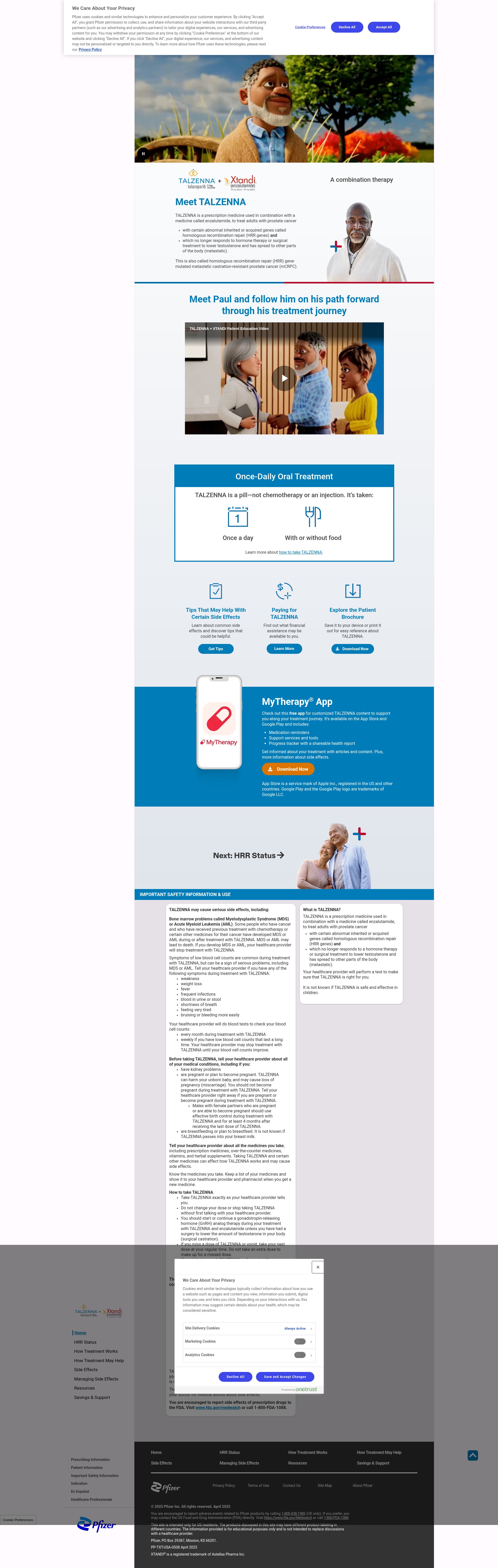 Screenshot of talzennaxtandi.com