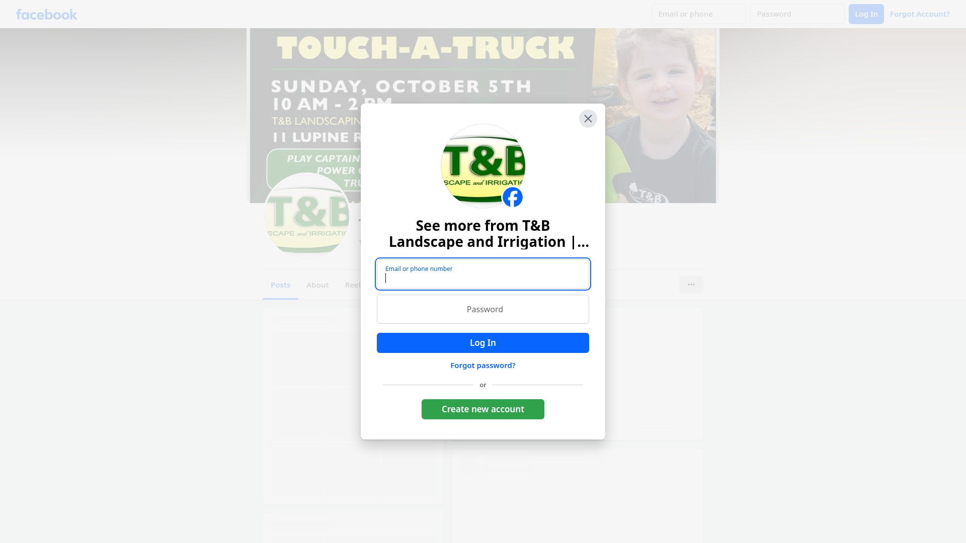 Screenshot of tblawncare.com